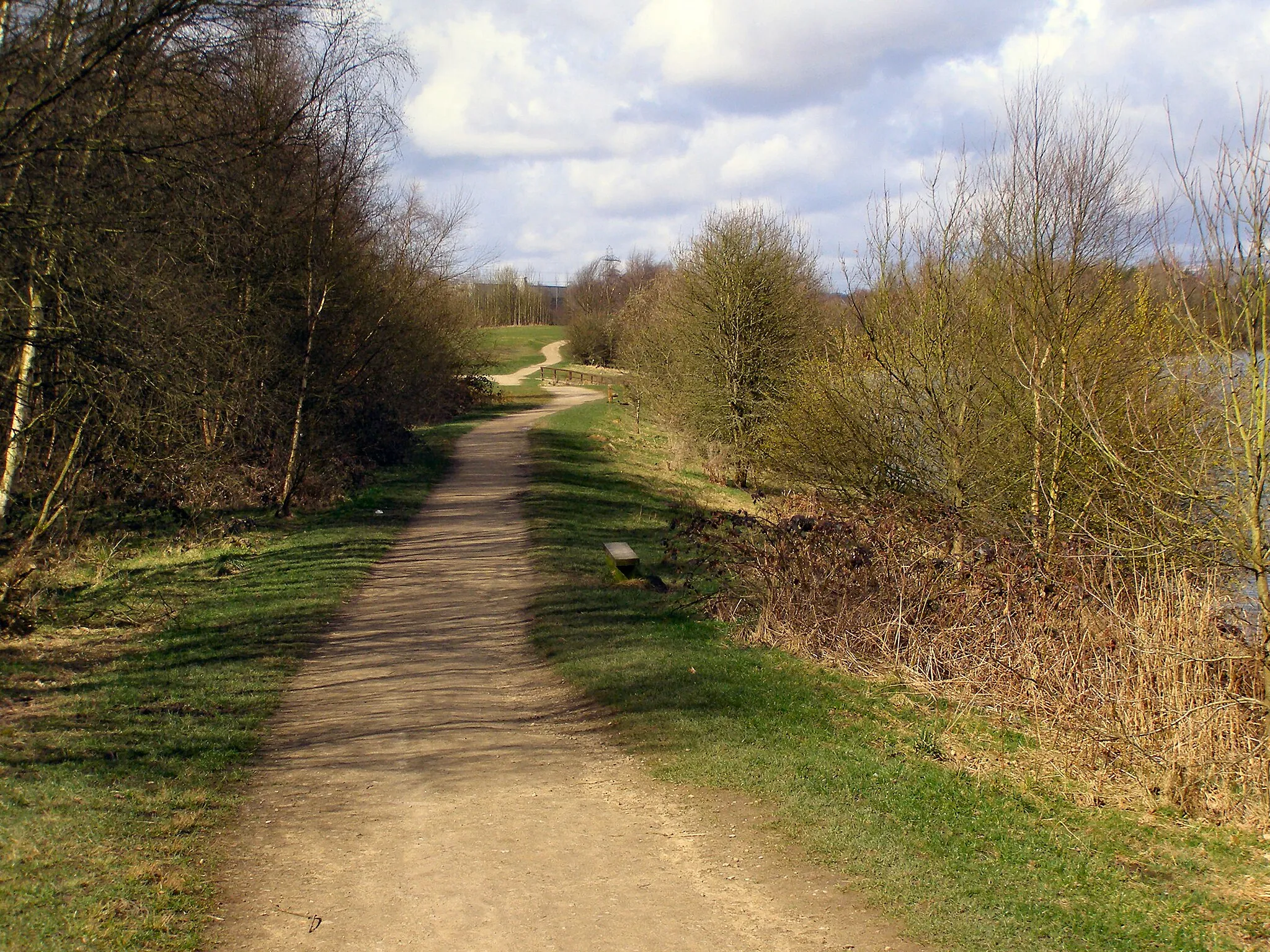 Photo showing: Clifton Country Park Path around the marina.