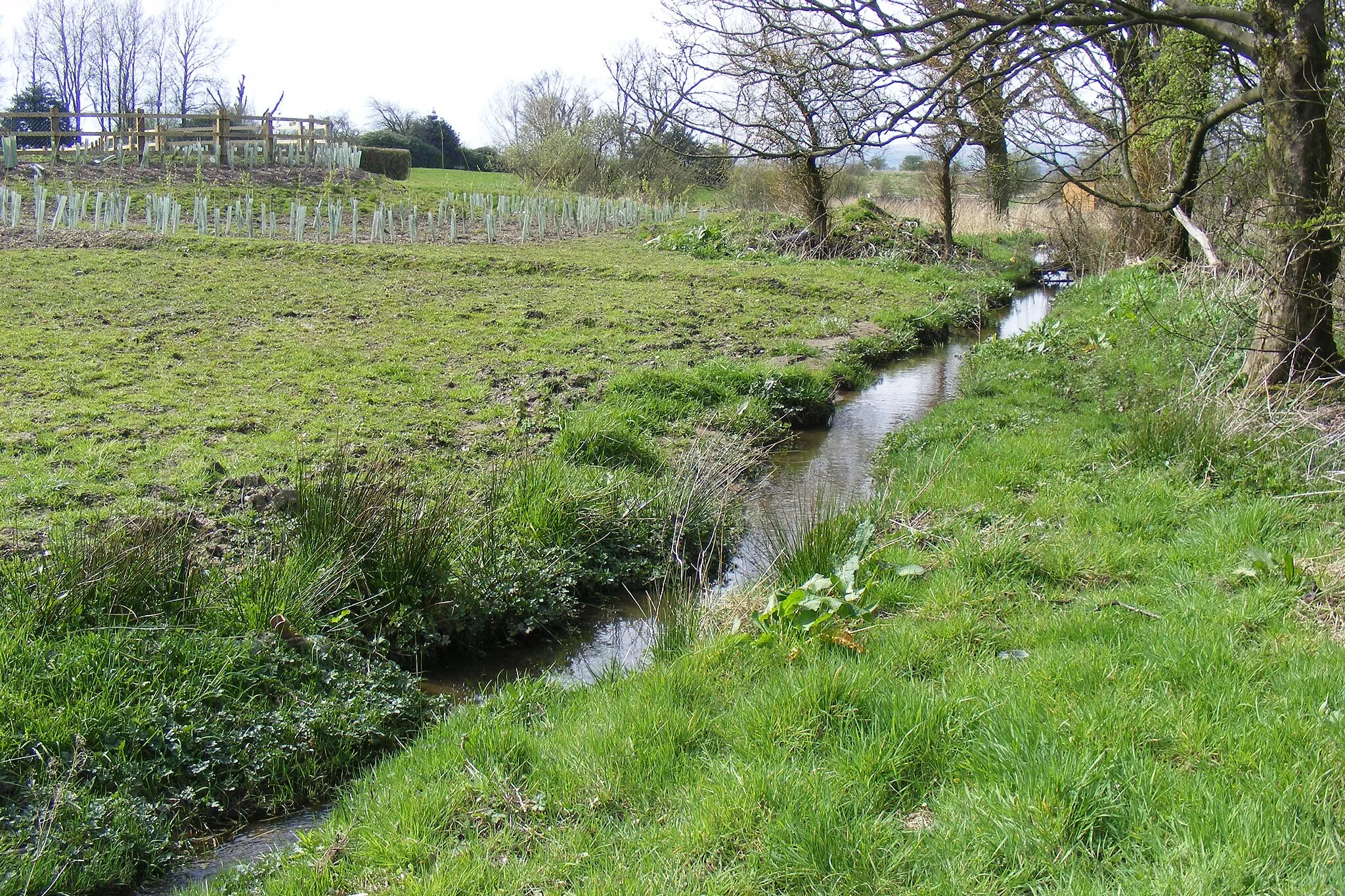 Photo showing: Stanney Brook, in Milnrow, Greater Manchester, England.