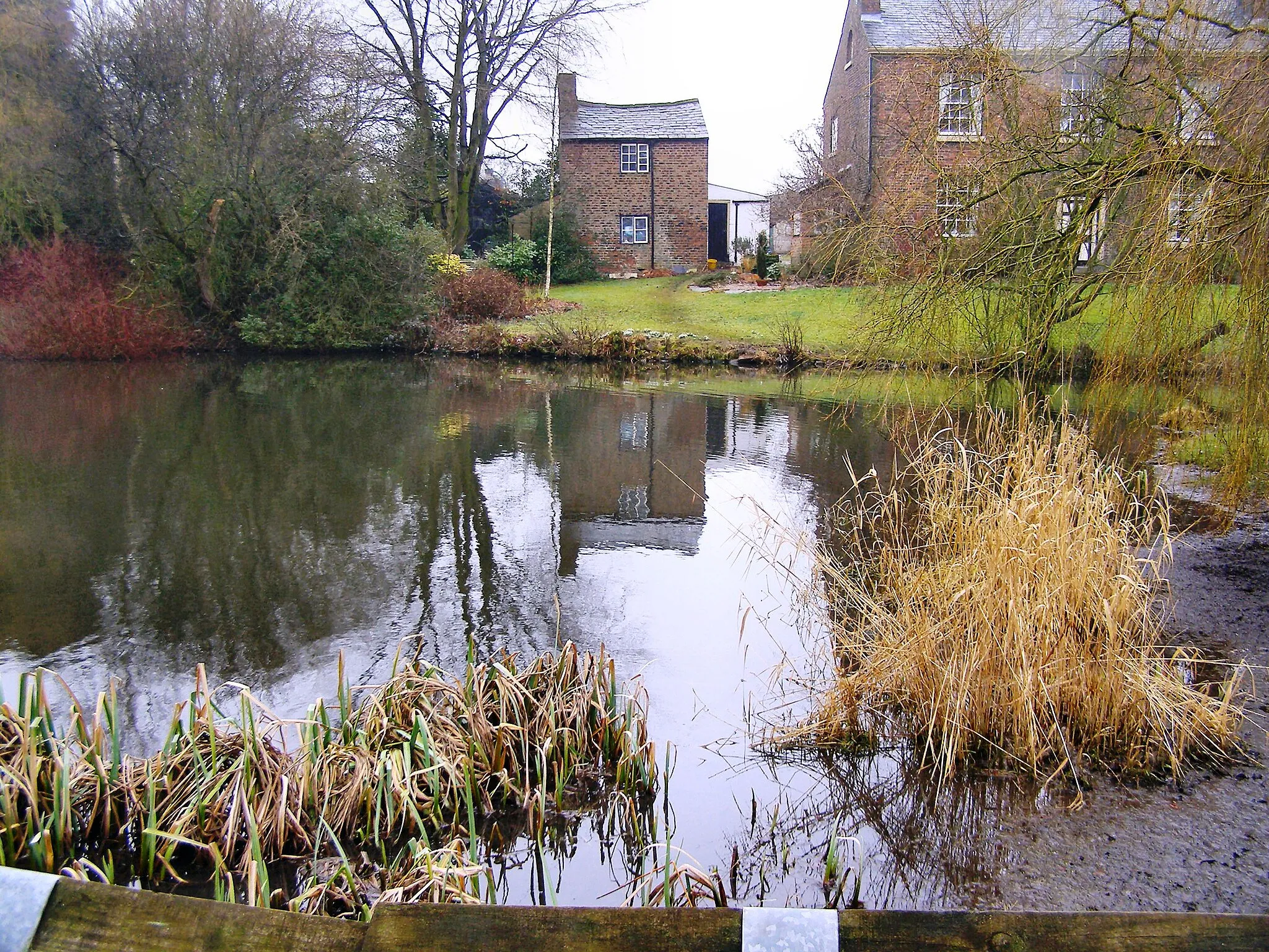 Photo showing: Town Pit The village pond at Higher Whitley.