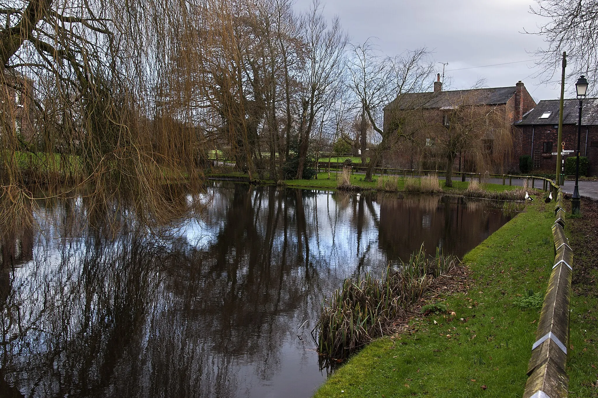 Photo showing: Reflections in the pond at Higher Whitley