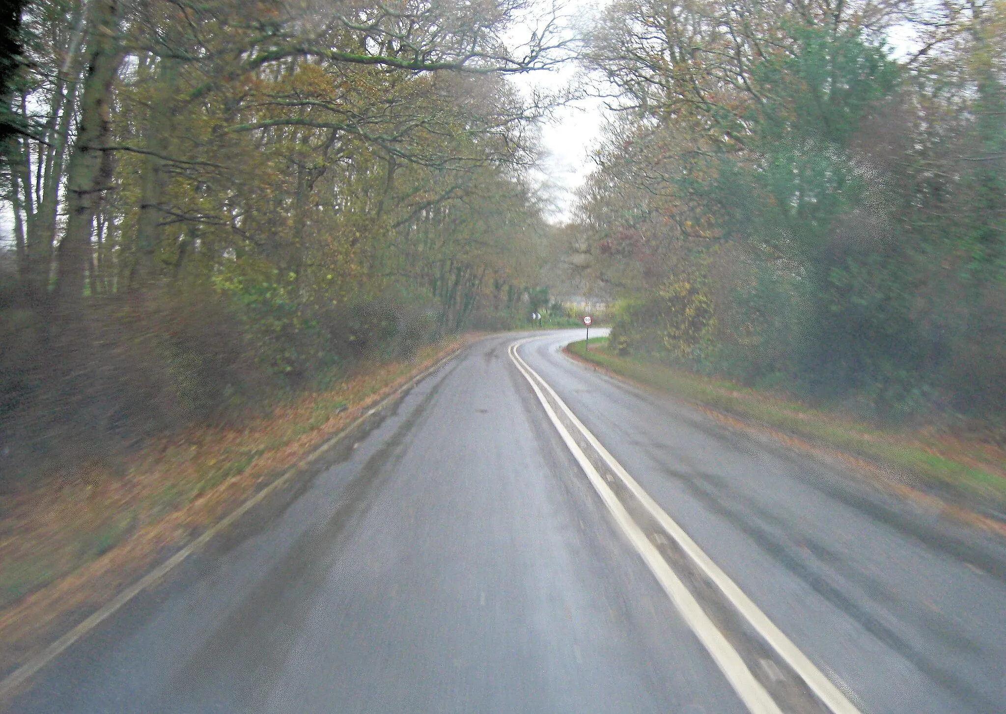 Photo showing: A336 north of Reformatory Copse