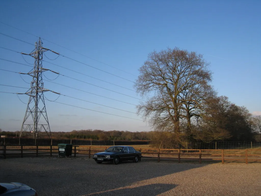 Photo showing: Pylon and a tree View at the back of Elm Park garden centre.