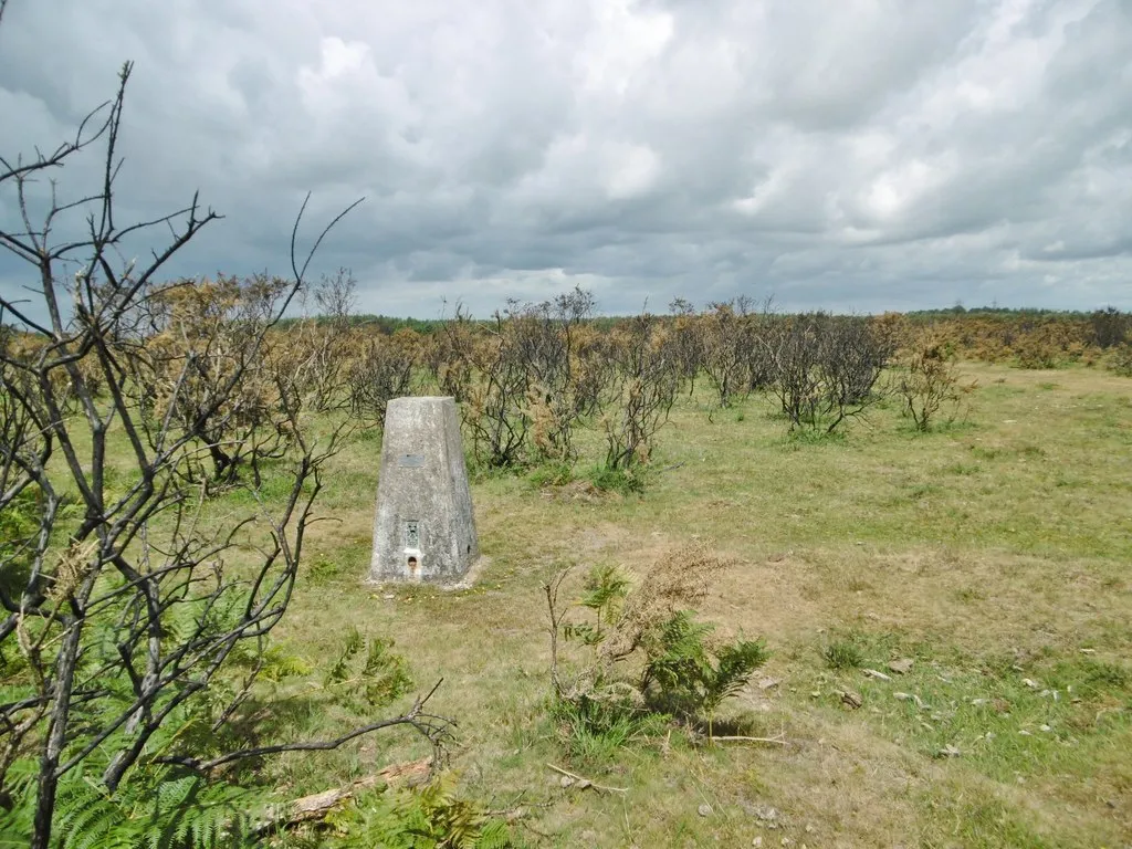 Photo showing: Beaulieu Heath, trigpoint