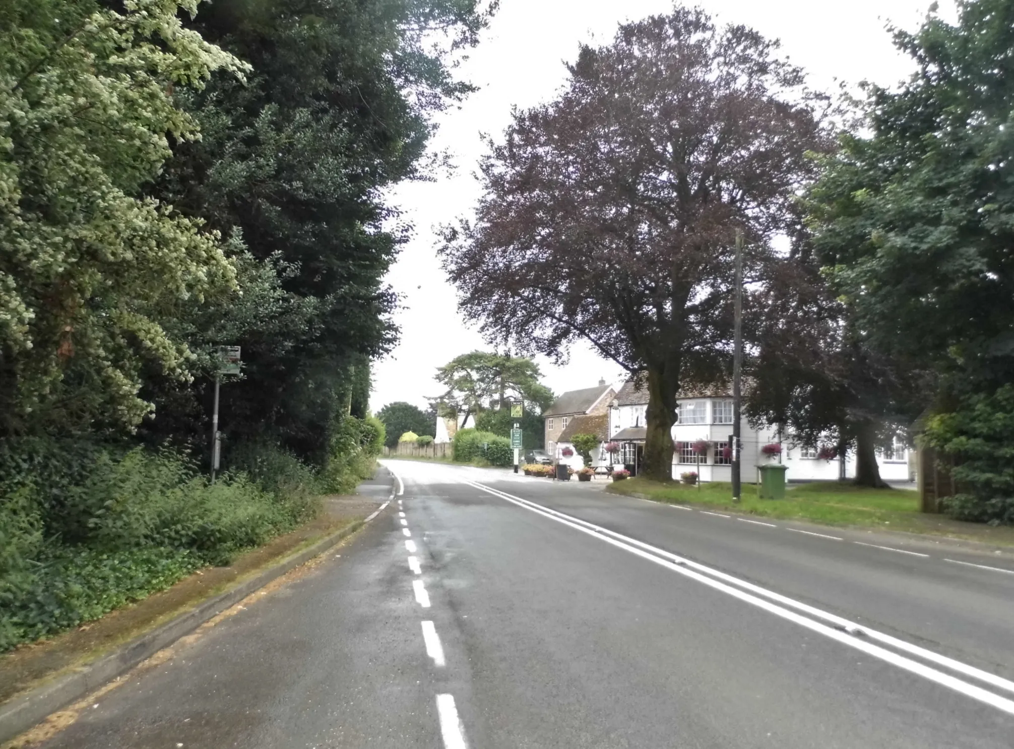 Photo showing: Petersfield Road, Bramdean