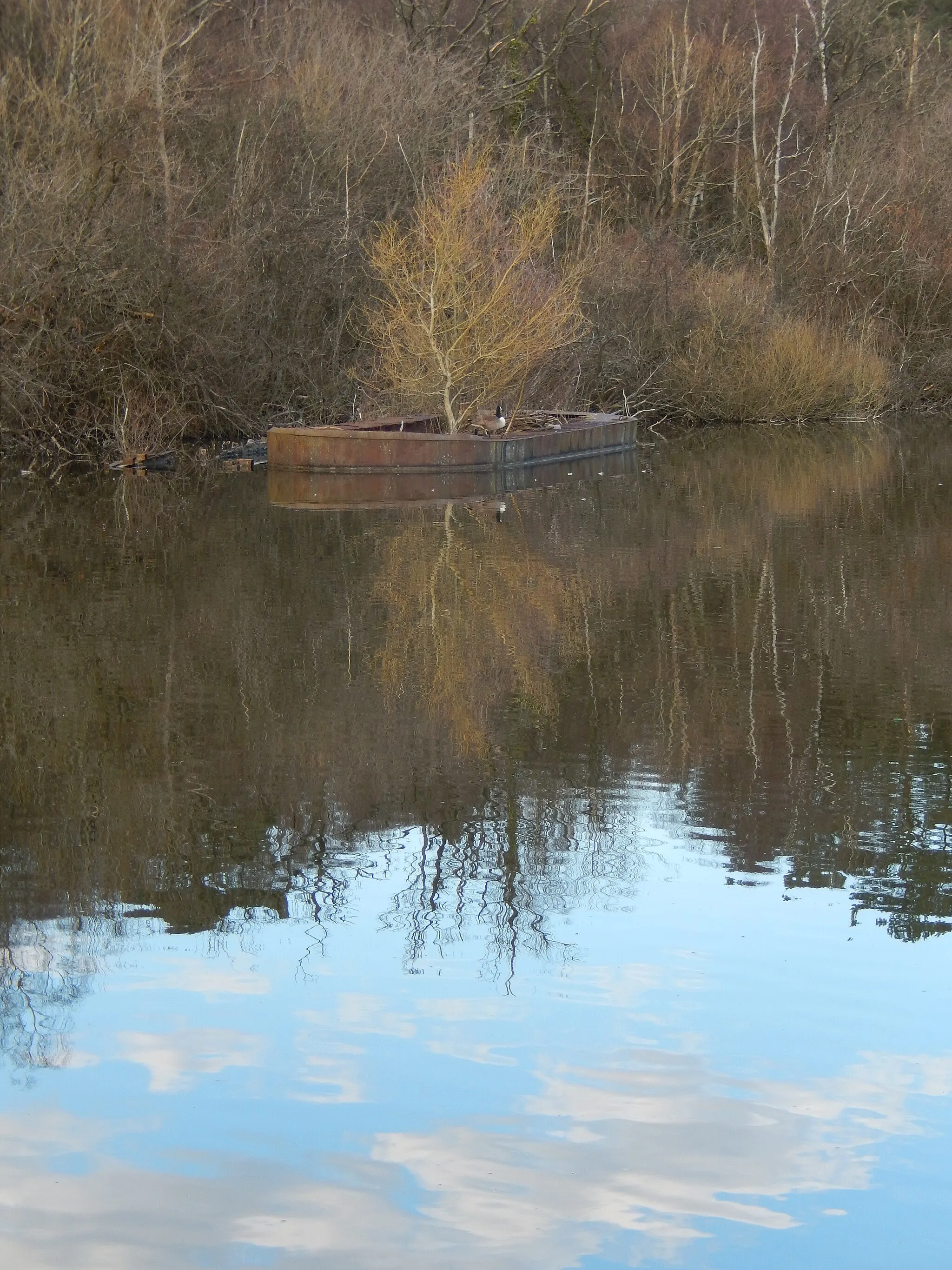 Photo showing: View of a derelict boat on Anglers' Flash on the Basingstoke Canal at Ash Vale.