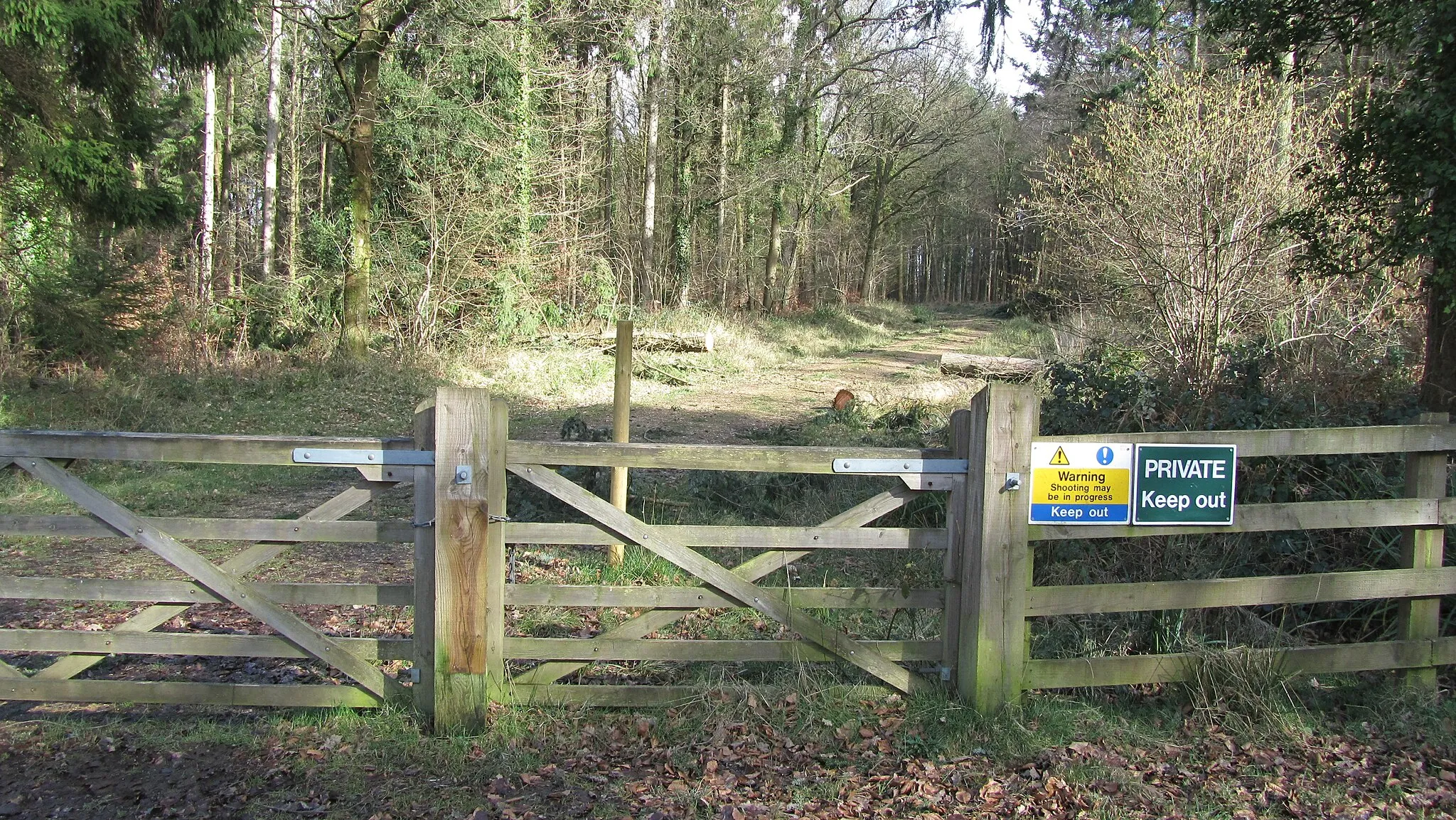 Photo showing: A private track in Ampfield wood