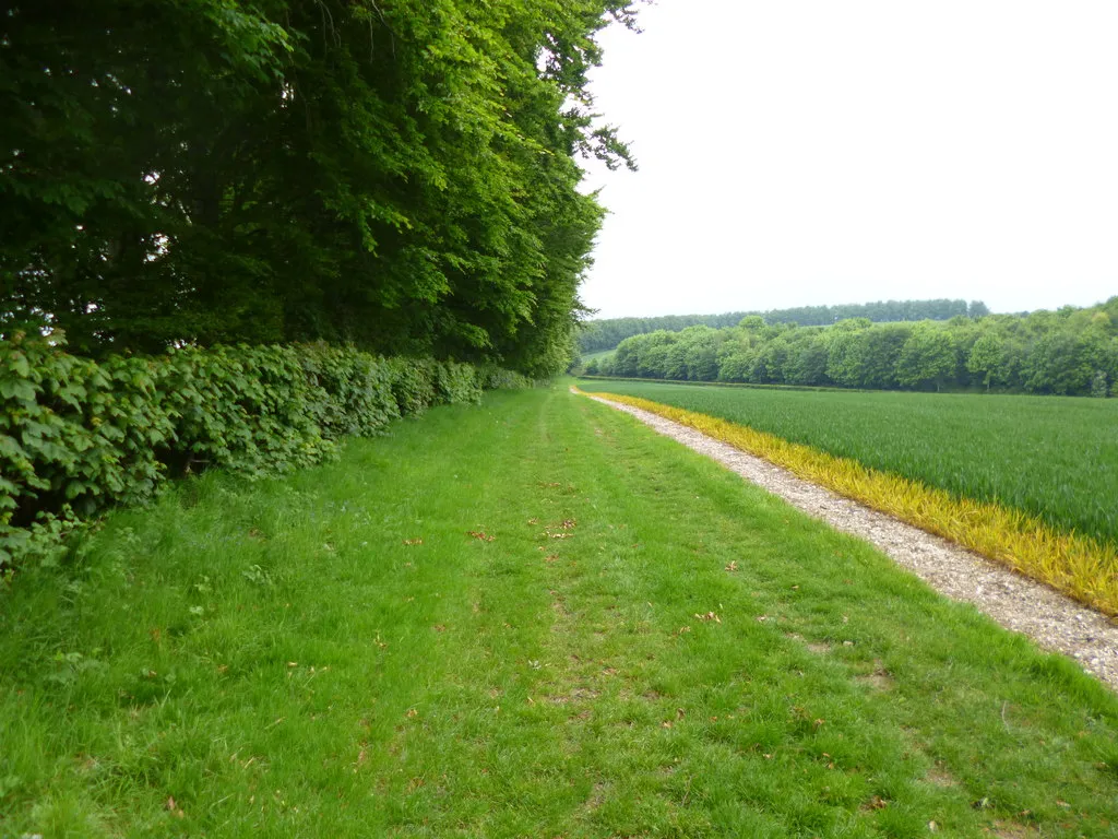 Photo showing: Black Hill, bridleway