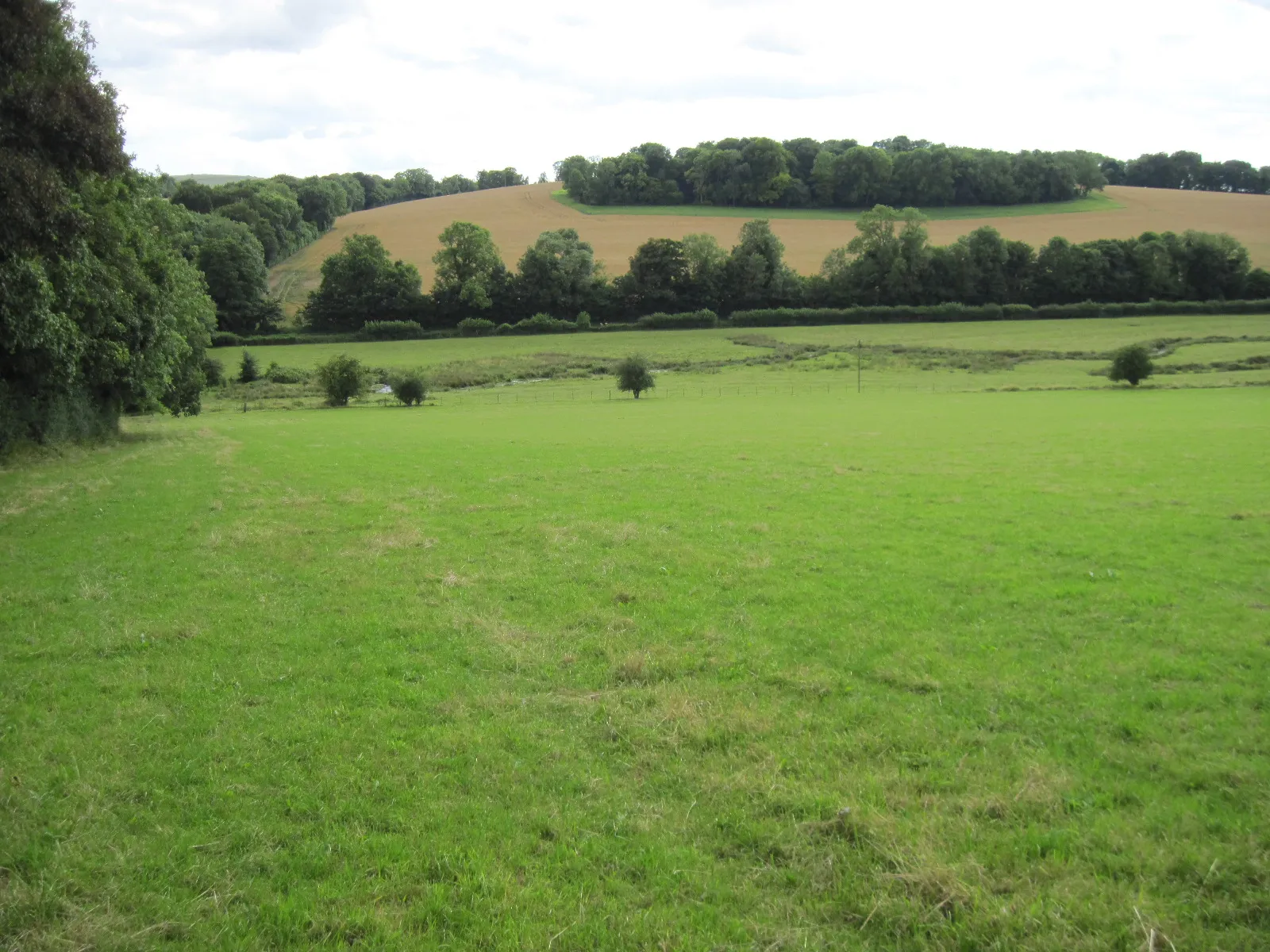 Photo showing: Across the Meon Valley towards Sheepbridge Copse