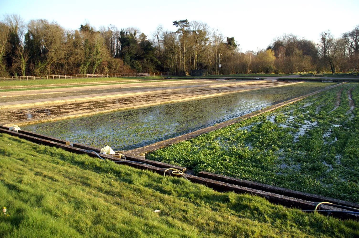 Photo showing: The Watercress beds in Warnford, Hampshire