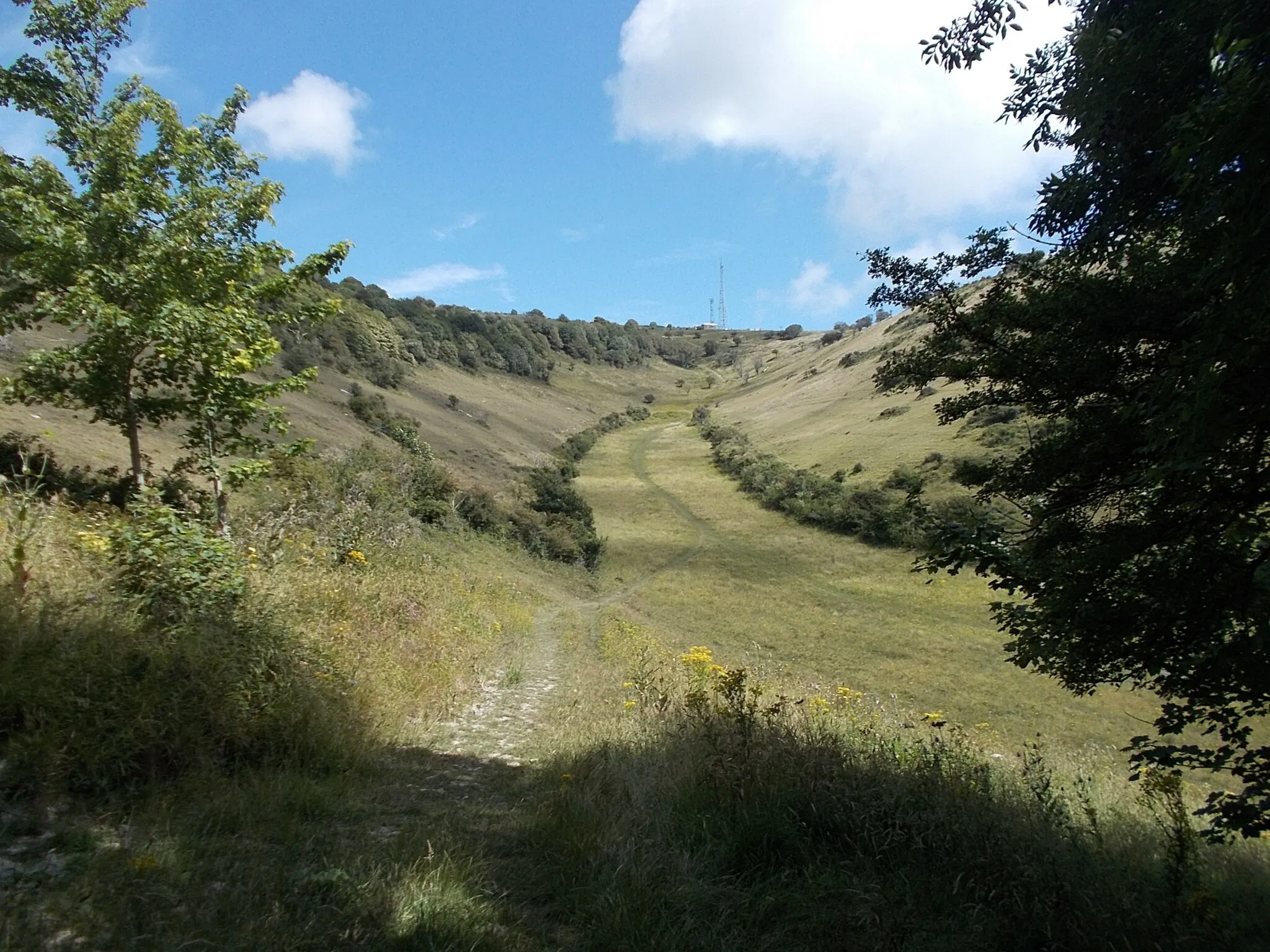 Photo showing: Slopes of St Boniface Down, Isle of Wight, England