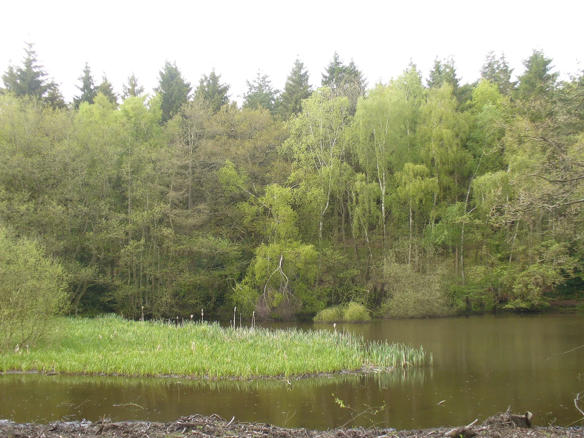 Photo showing: Benyon's Inclosure Pond