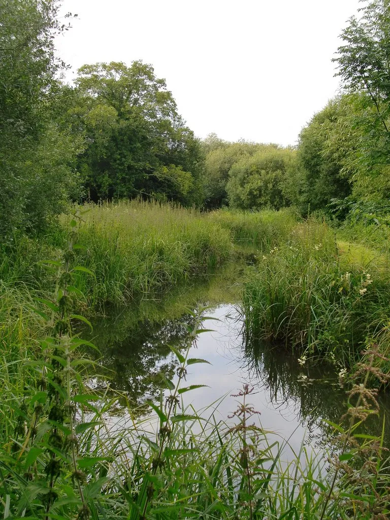 Photo showing: A side-channel of the River Test, at Longstock