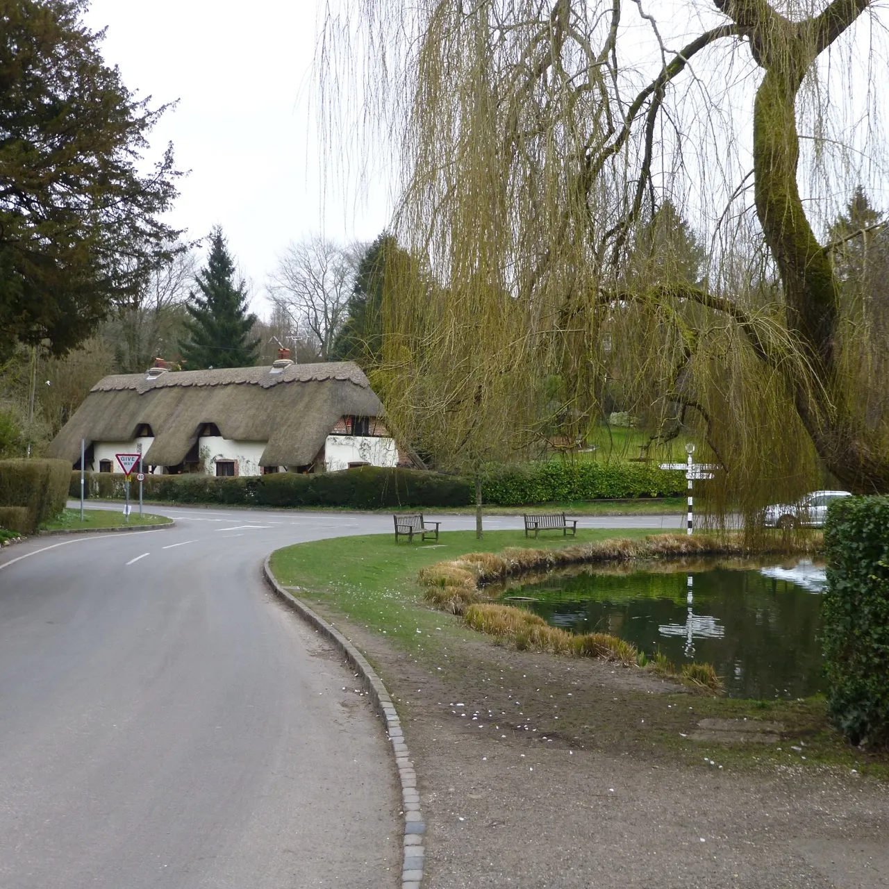 Photo showing: Pond and thatched cottages