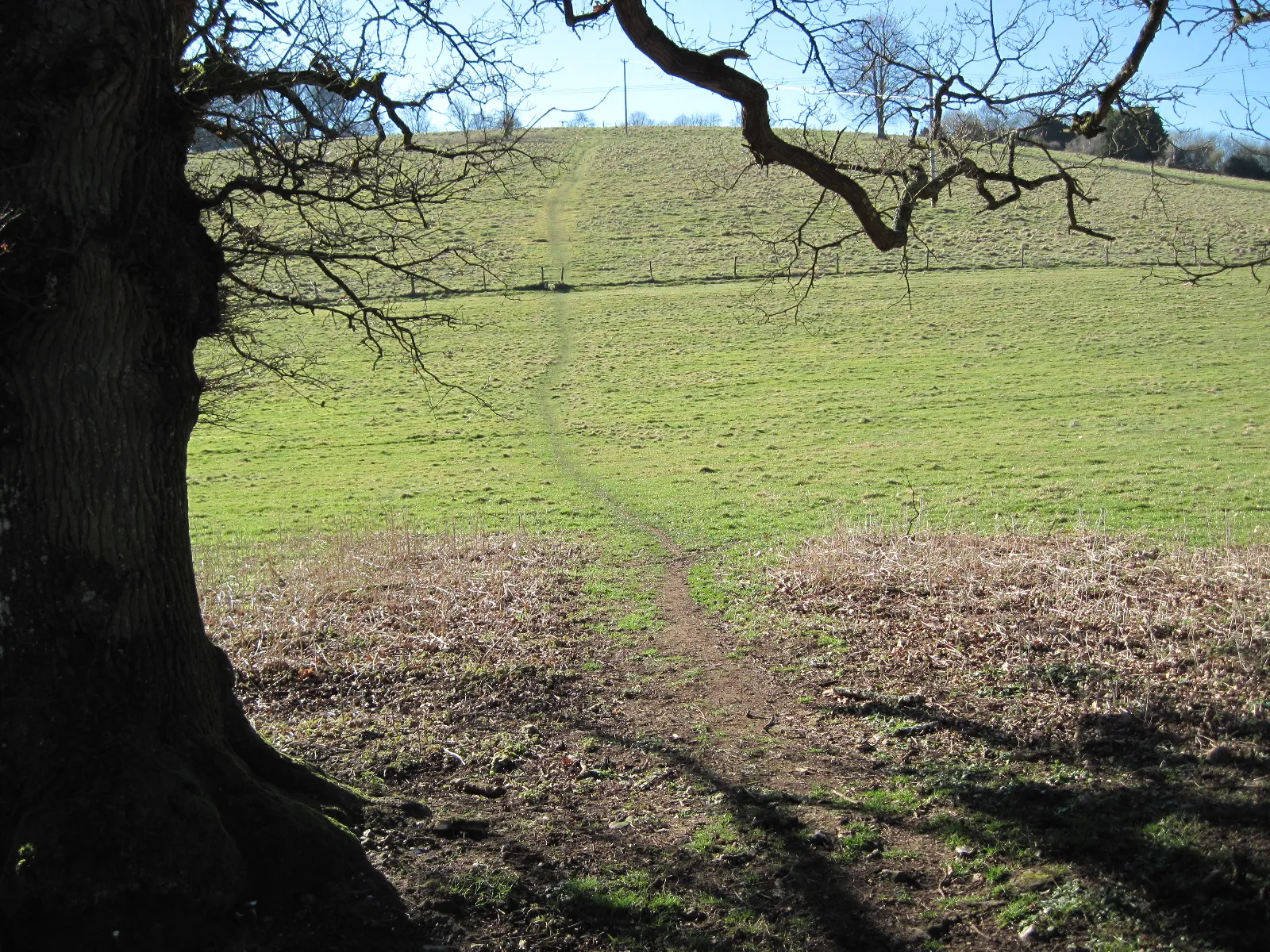 Photo showing: Footpath to Green Hill