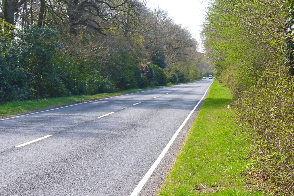 Photo showing: A35 Road