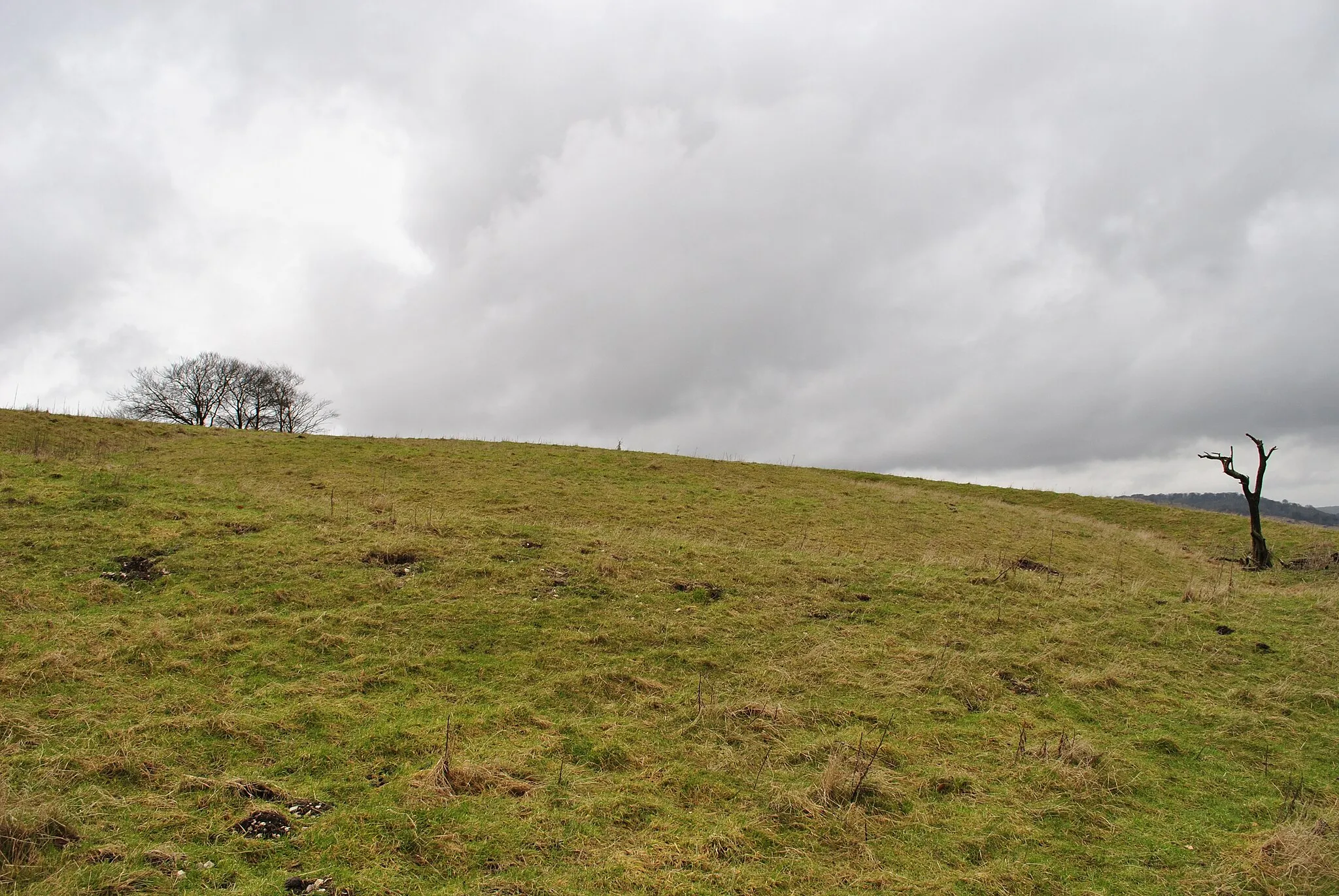 Photo showing: Ladle Hill Barrow