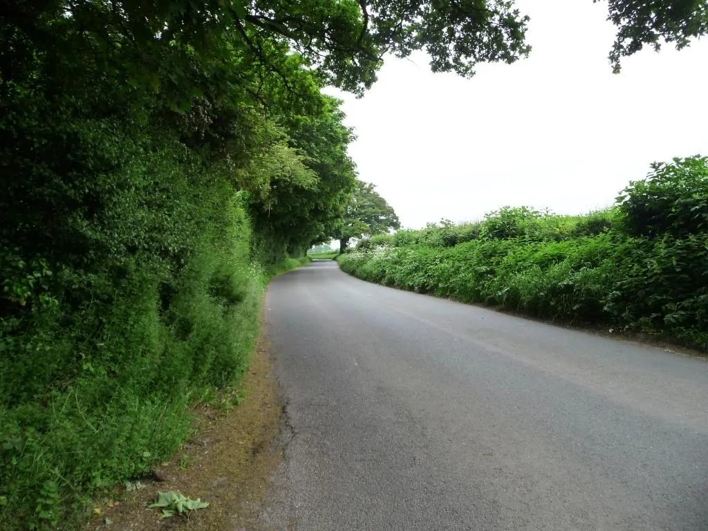 Photo showing: Anonymous lane, heading north-east alongside Rack Belt