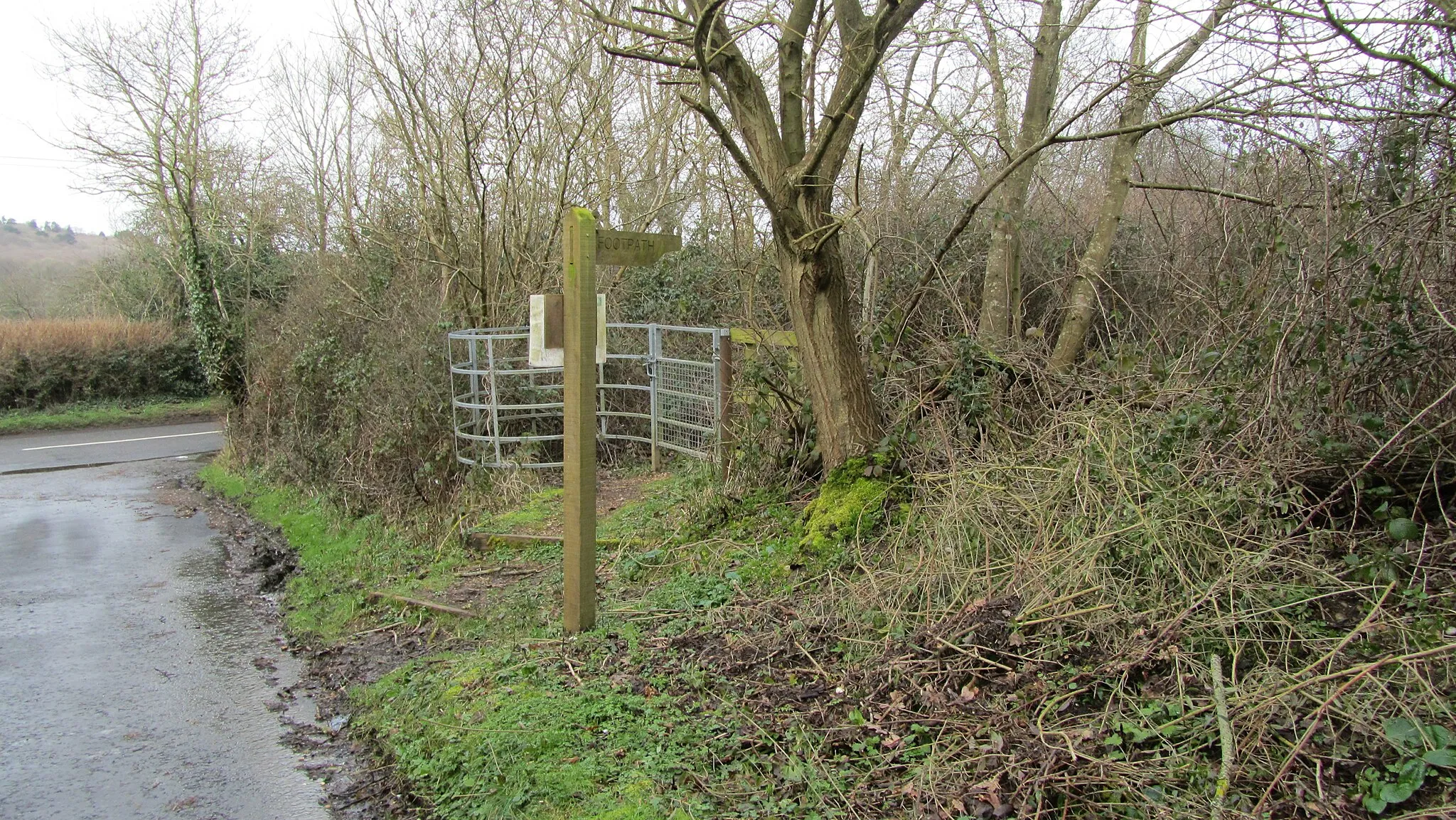 Photo showing: A permissive path from Ladywell