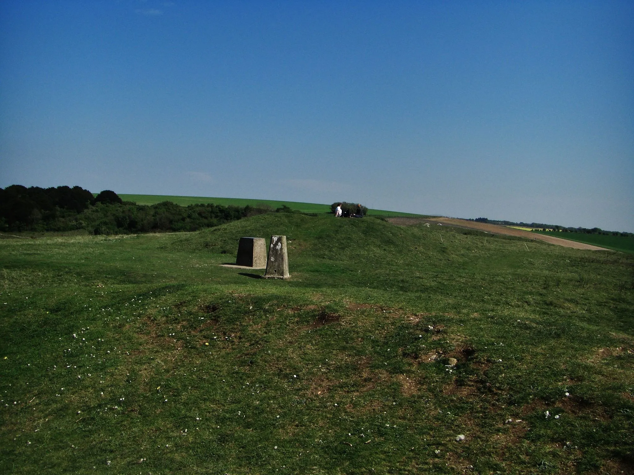 Photo showing: The top of Old Winchester Hill, as viewed from the central tumuli.