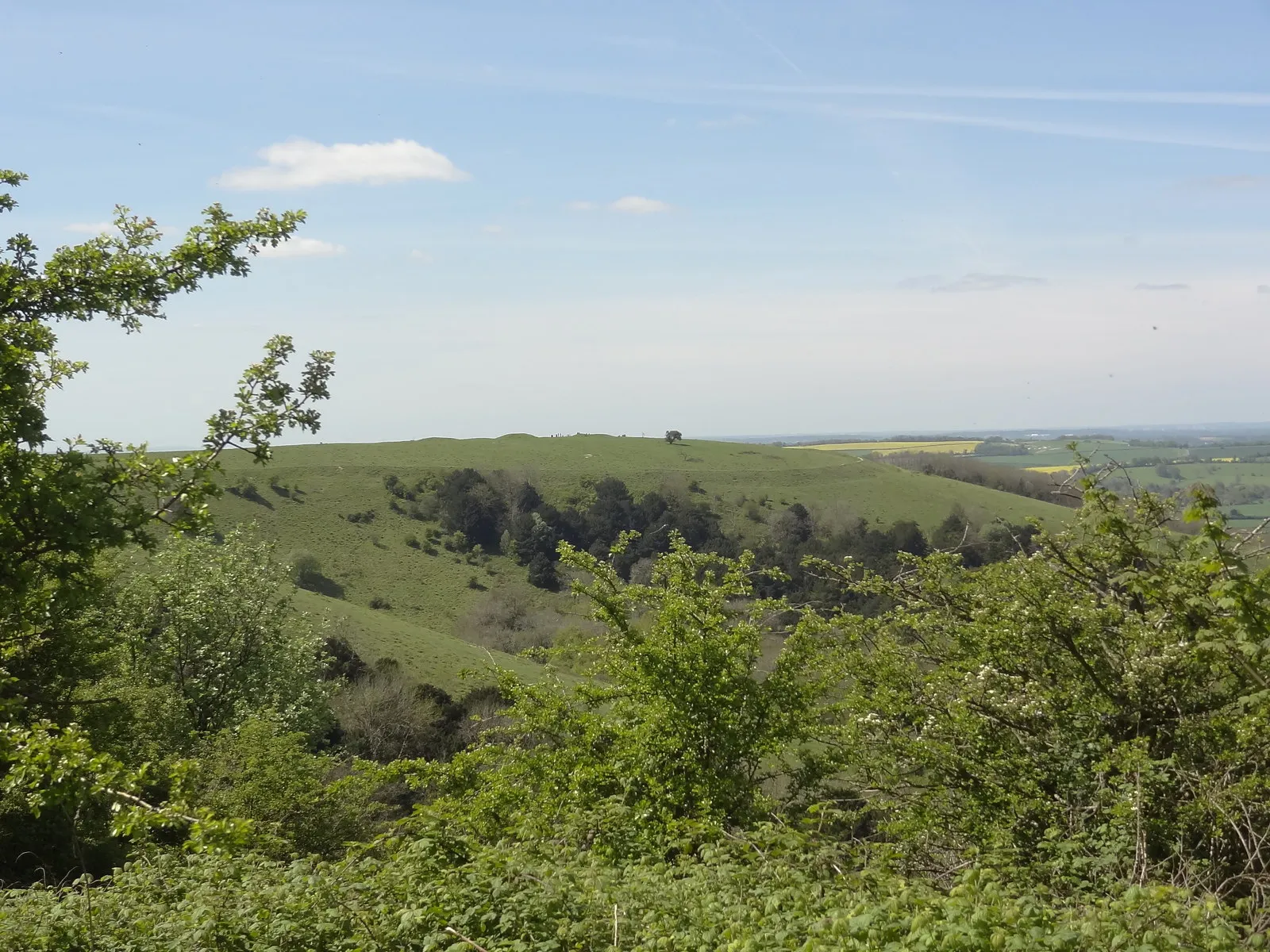 Photo showing: Old Winchester Hill