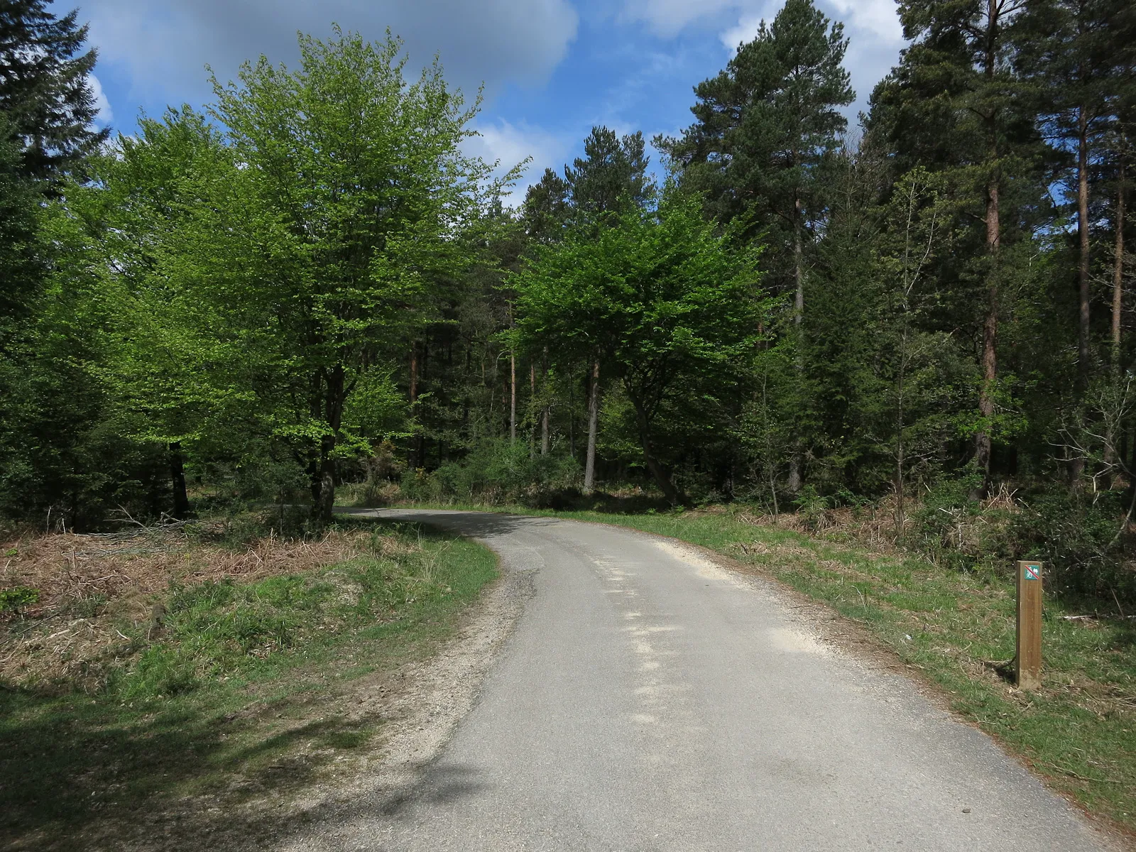 Photo showing: Access road to Old House