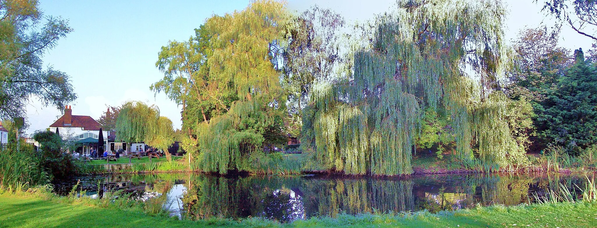 Photo showing: The Duck Pond, Holyport