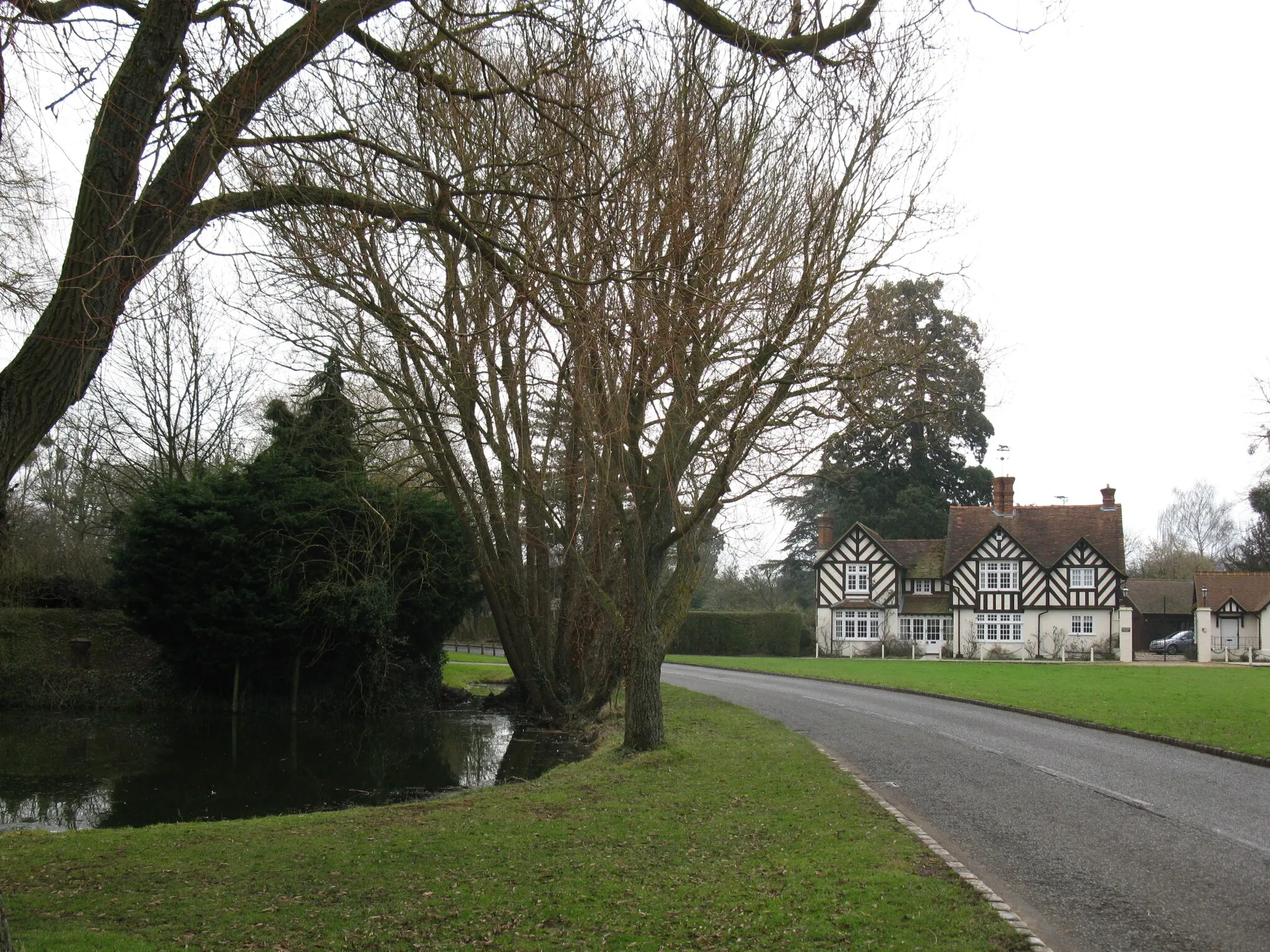 Photo showing: Village pond