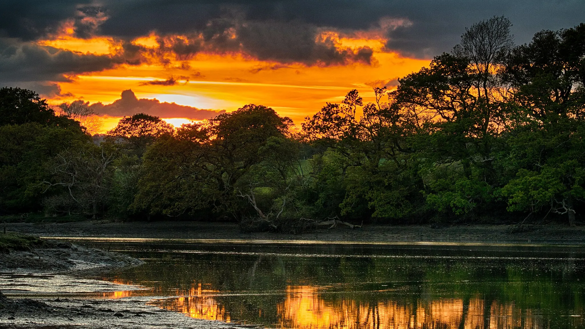 Photo showing: A telephoto shot of the sunset behind the trees on the far bank of Curbridge Creek