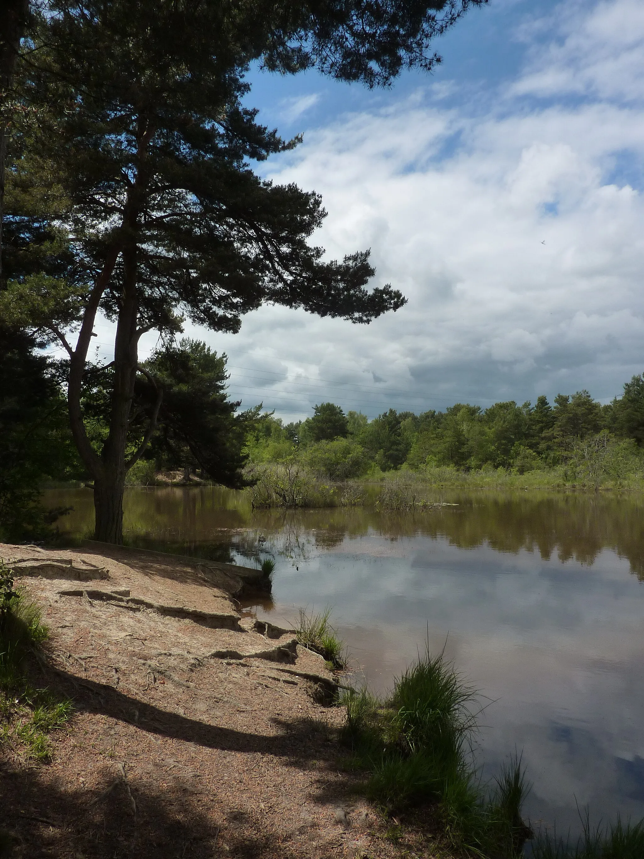 Photo showing: Pond view, Upton Heath - Glass Still