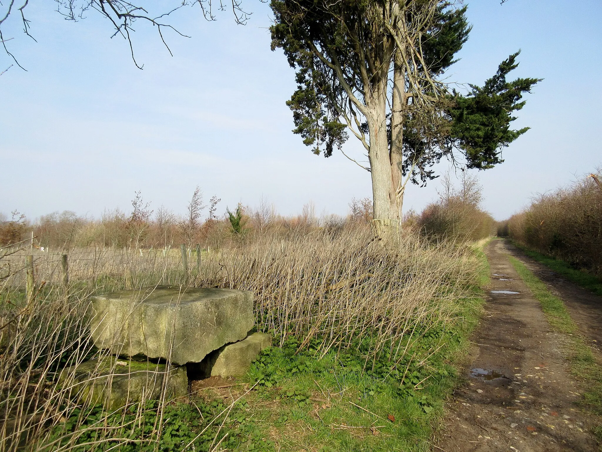 Photo showing: 3 Stones adjacent to track
