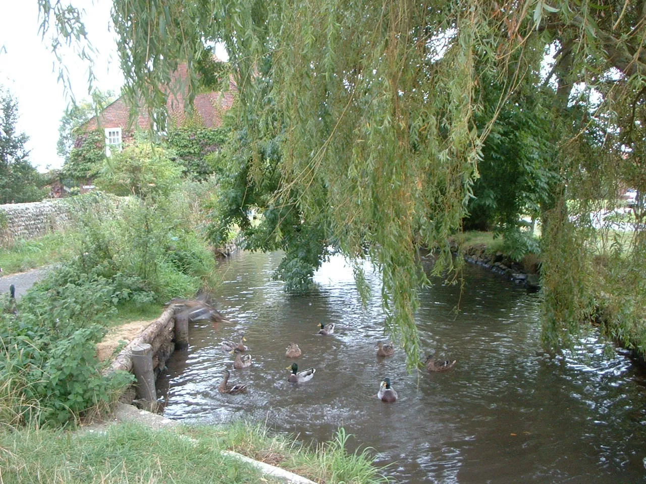 Photo showing: Mill river just round the back of Holy Trinity church graveyard, Bosham, August 2005.  King Canute's daughter reputedly drowned in this spot.