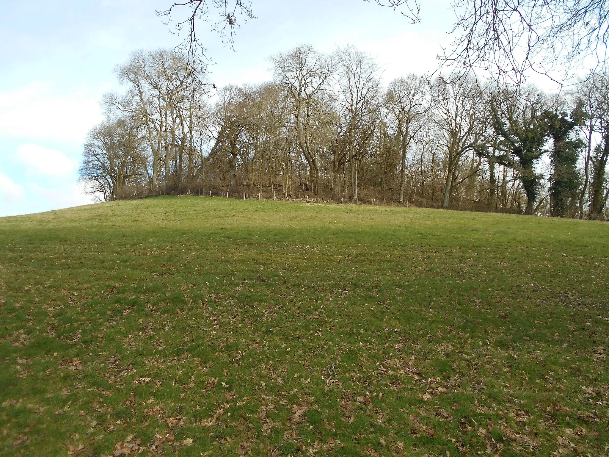 Photo showing: King John's Hill, in Worldham Parish, Hampshire. The hill was an Iron Age hillfort, with a later medieval hunting lodge attributed to King John.