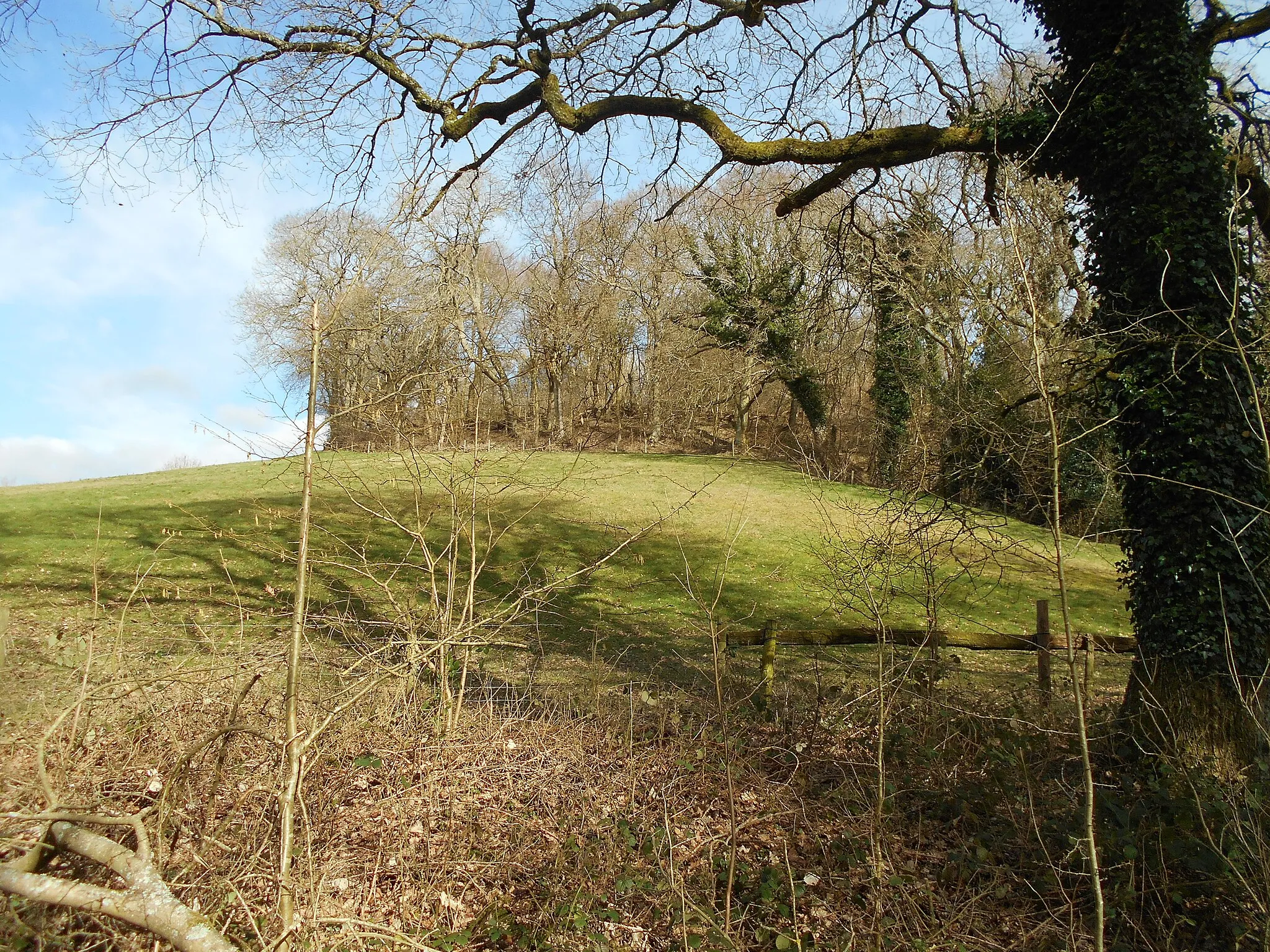 Photo showing: King John's Hill, in Worldham Parish, Hampshire. The hill was an Iron Age hillfort, with a later medieval hunting lodge attributed to King John.