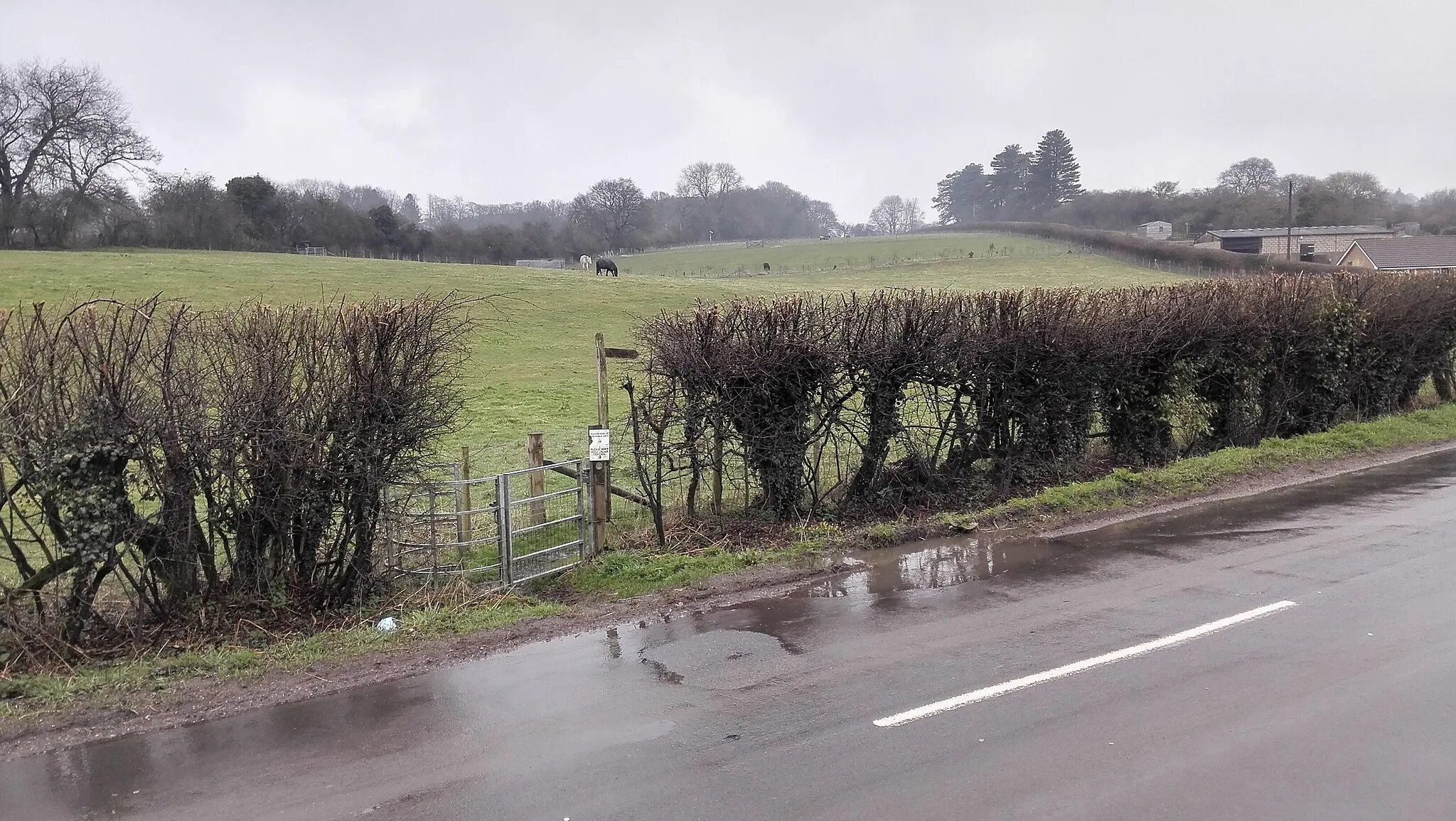 Photo showing: Hawrhorn Road -  near Cob Farm