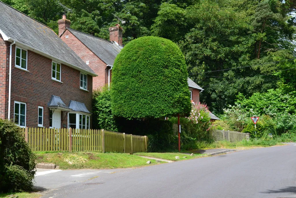 Photo showing: Bus stop under tree