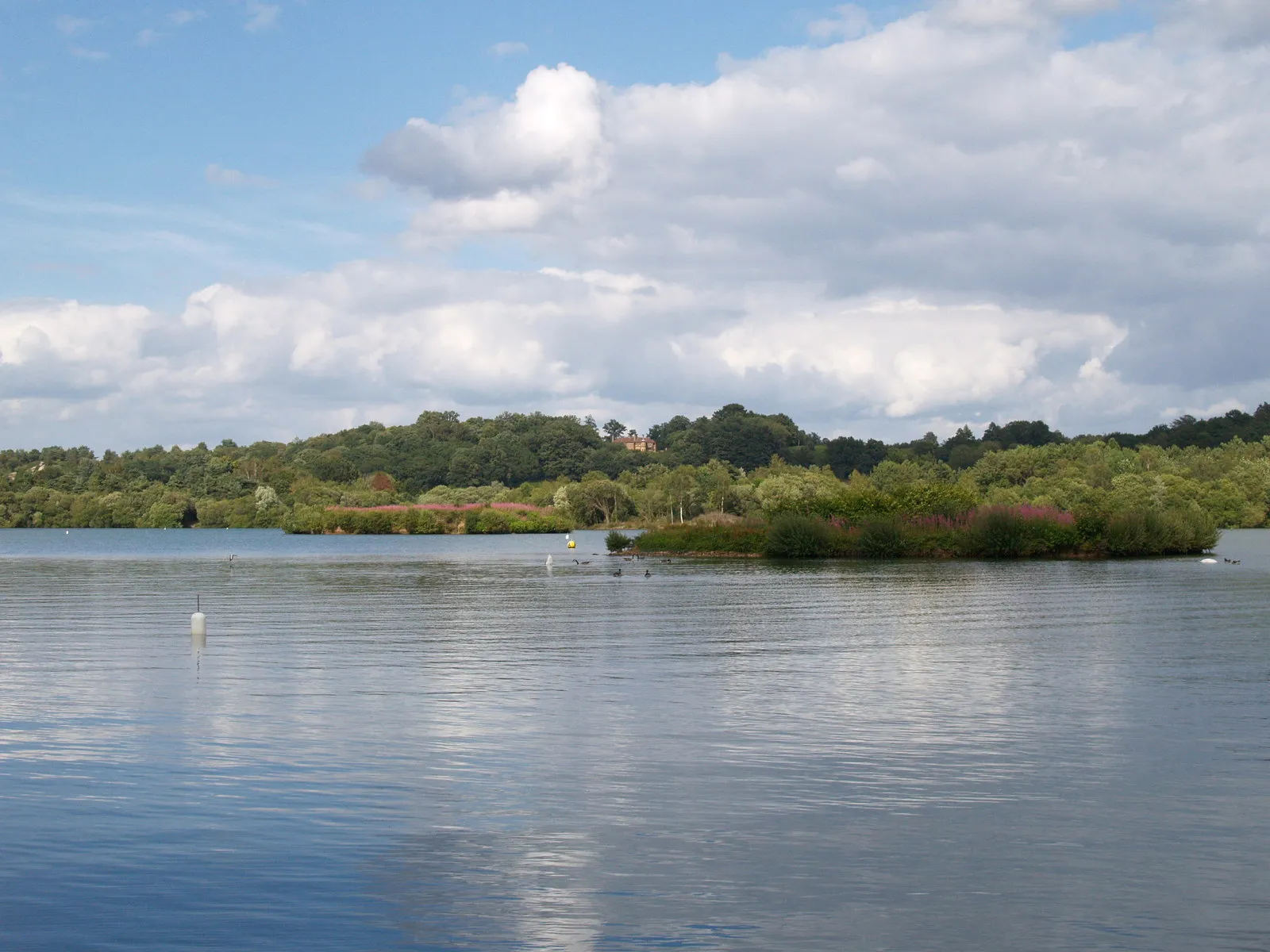Photo showing: Blashford Lake