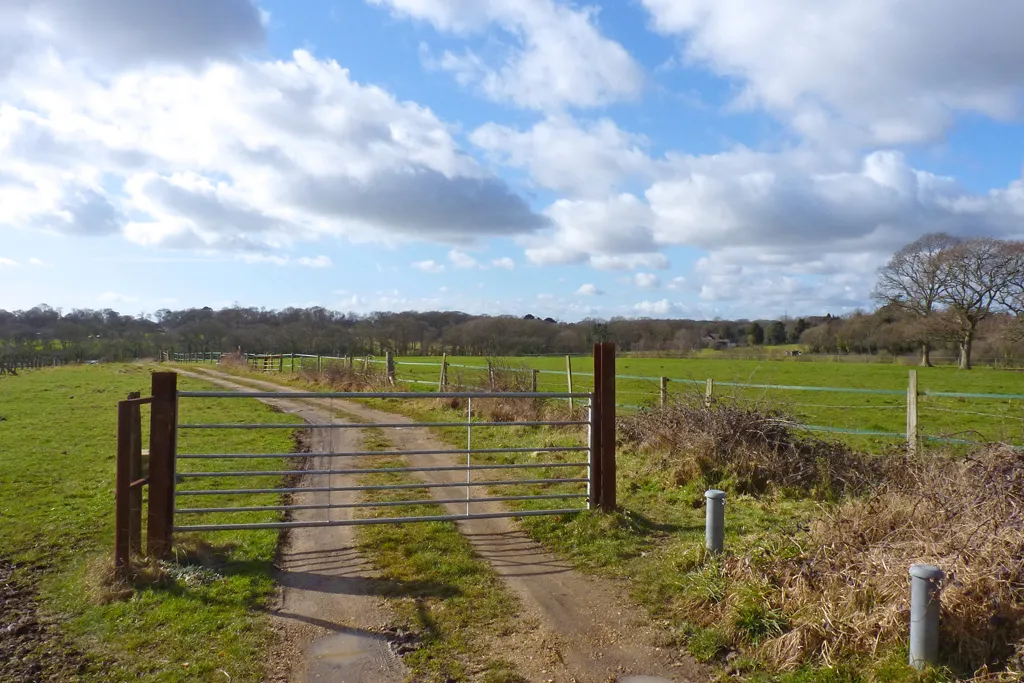 Photo showing: Land at Tiptoe