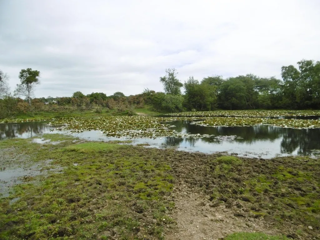 Photo showing: East End, pond