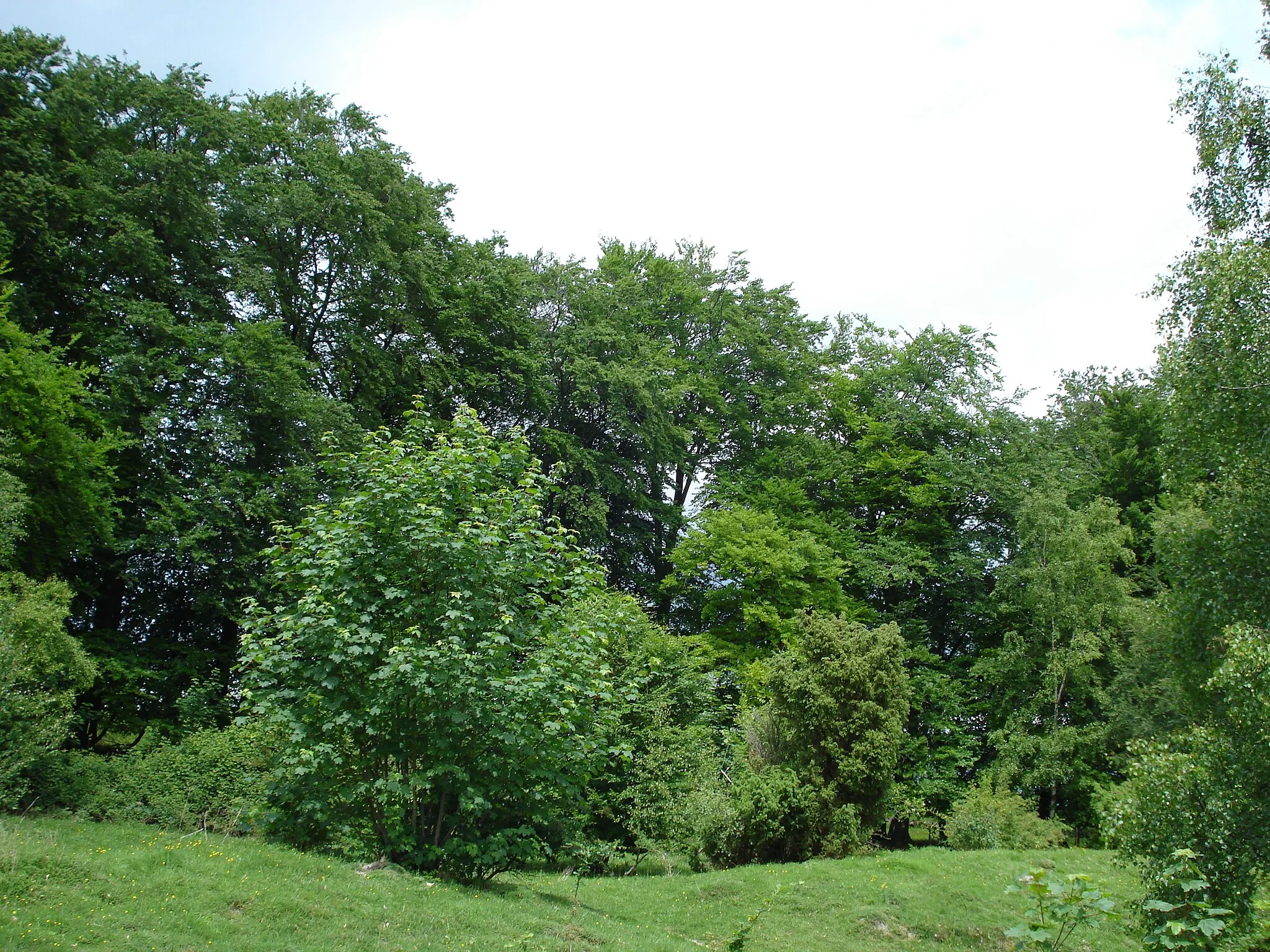 Photo showing: Danebury Hill Fort outer ring