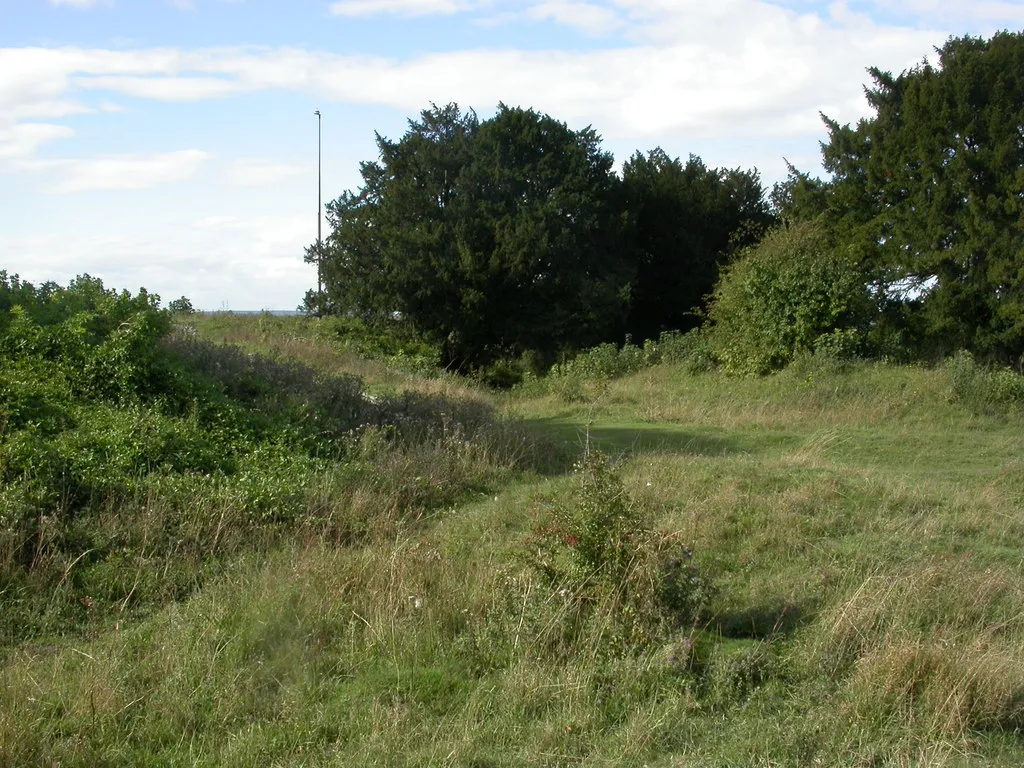 Photo showing: Danebury Hill, outer ditch
