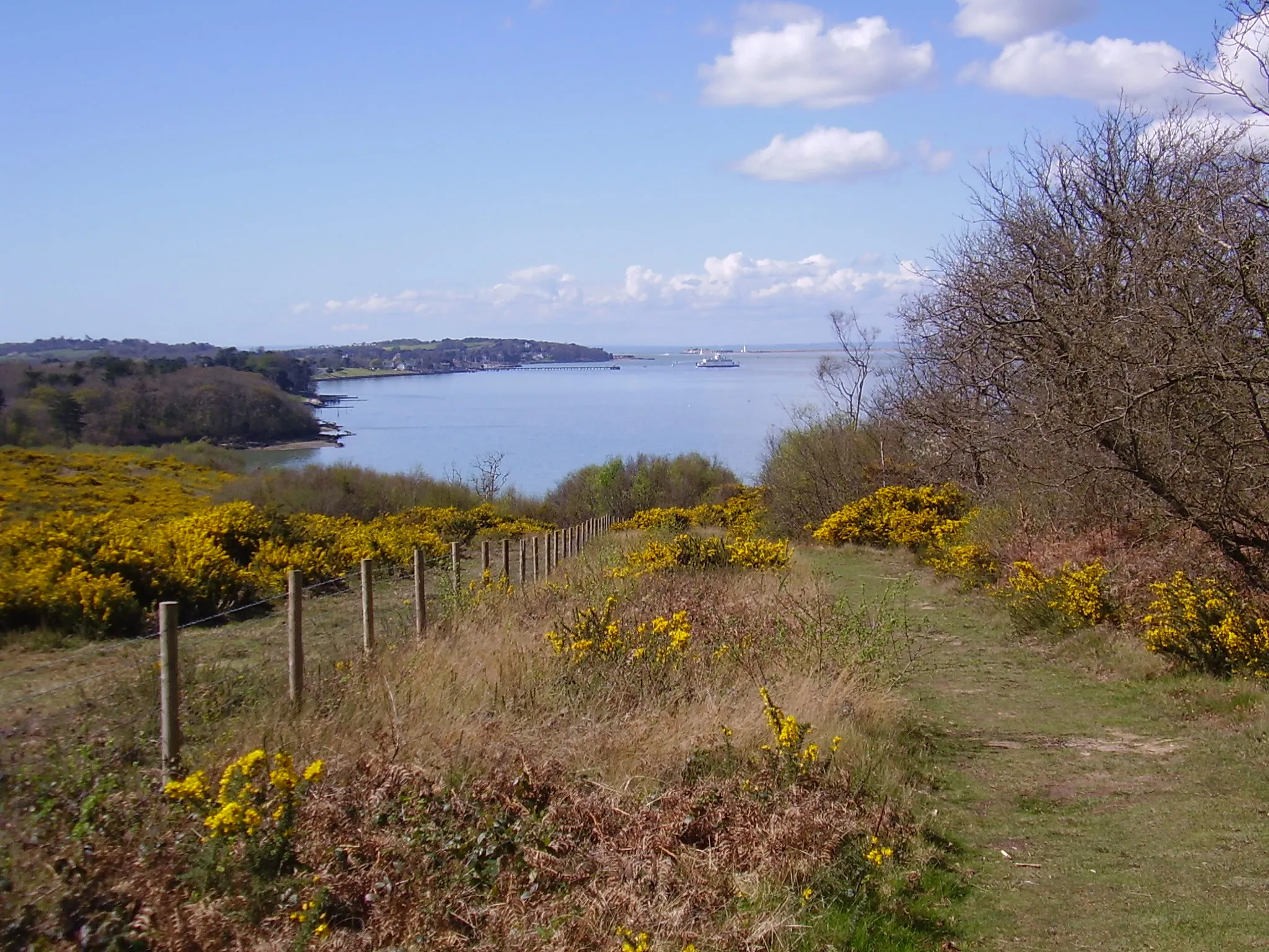 Photo showing: View west from the edge of Bouldnor Copse, above Bouldnor Cliff. In the distance is Yarmouth Pier, and in the very far distance, Hurst Castle.