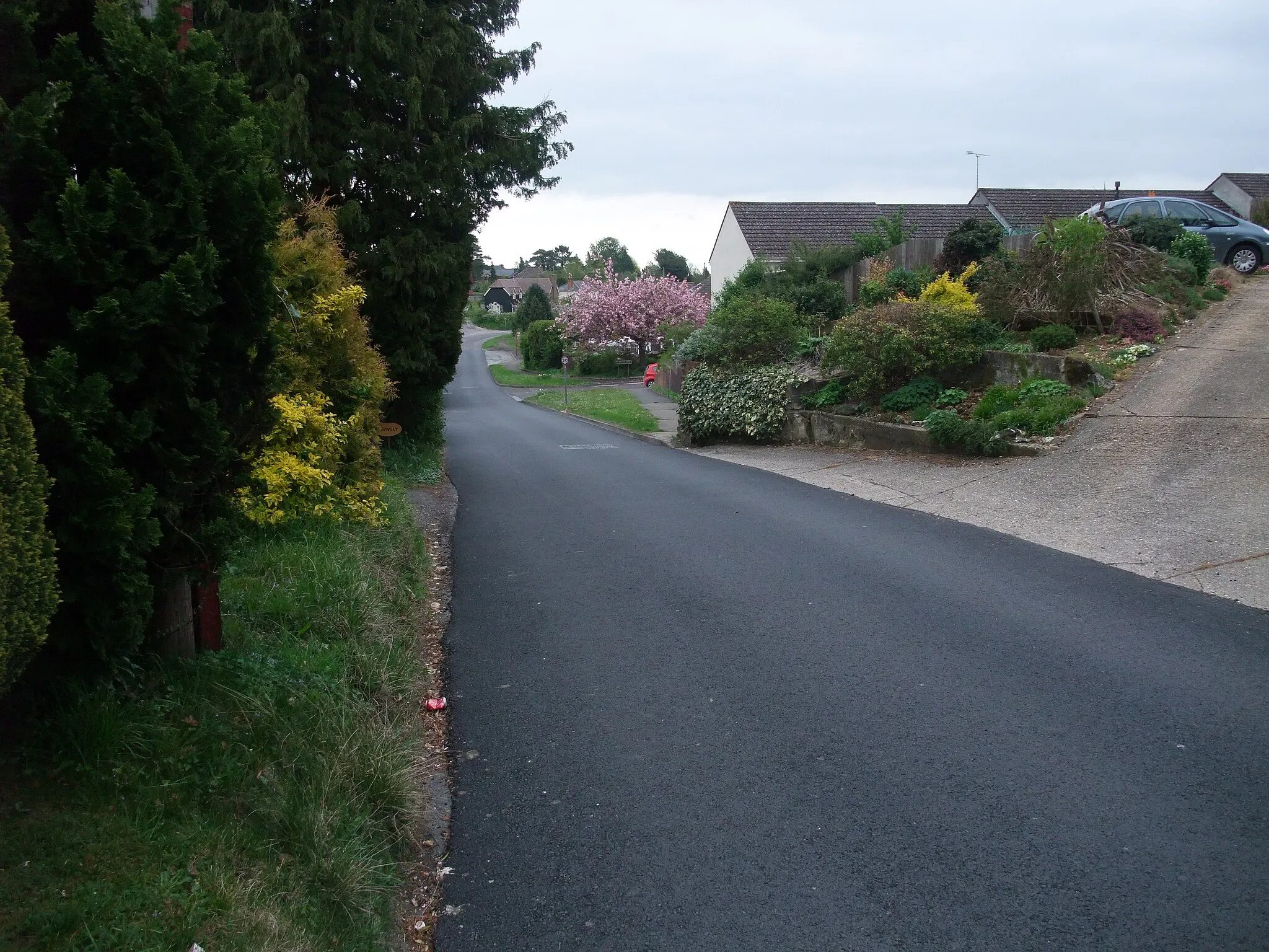 Photo showing: Middleton Road, Middle Winterslow