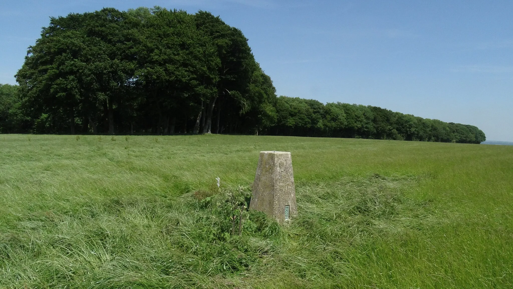 Photo showing: Trig point at Cheesefoot Head near Winchester