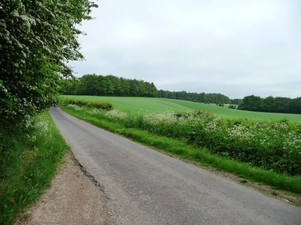 Photo showing: The road to Windmill Hill