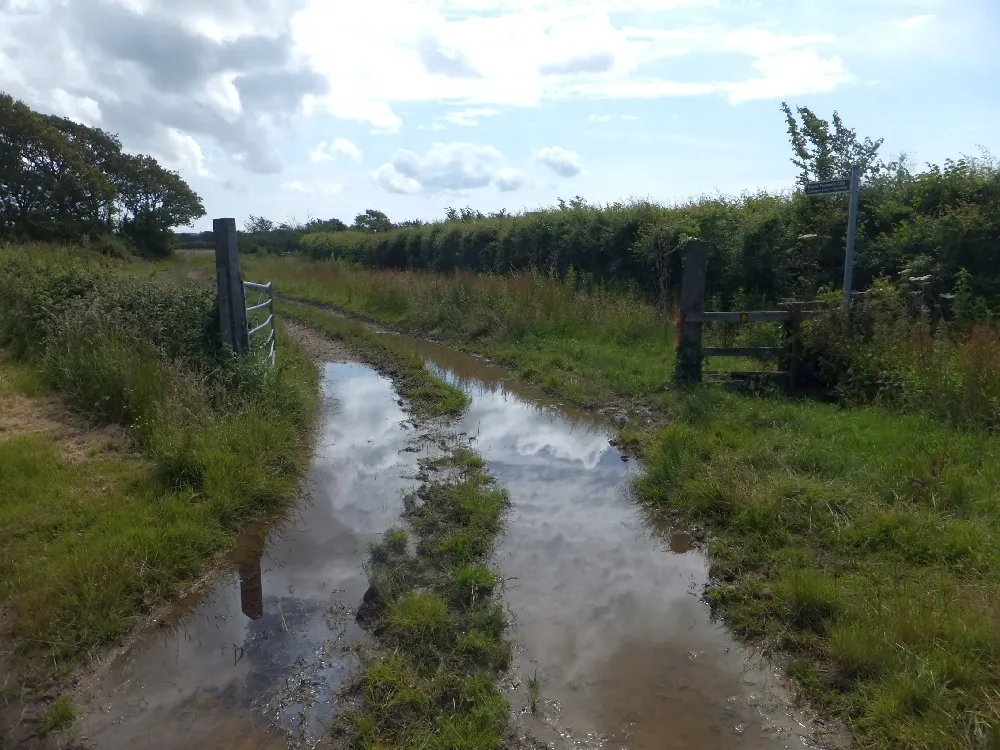 Photo showing: Footpath through the flood