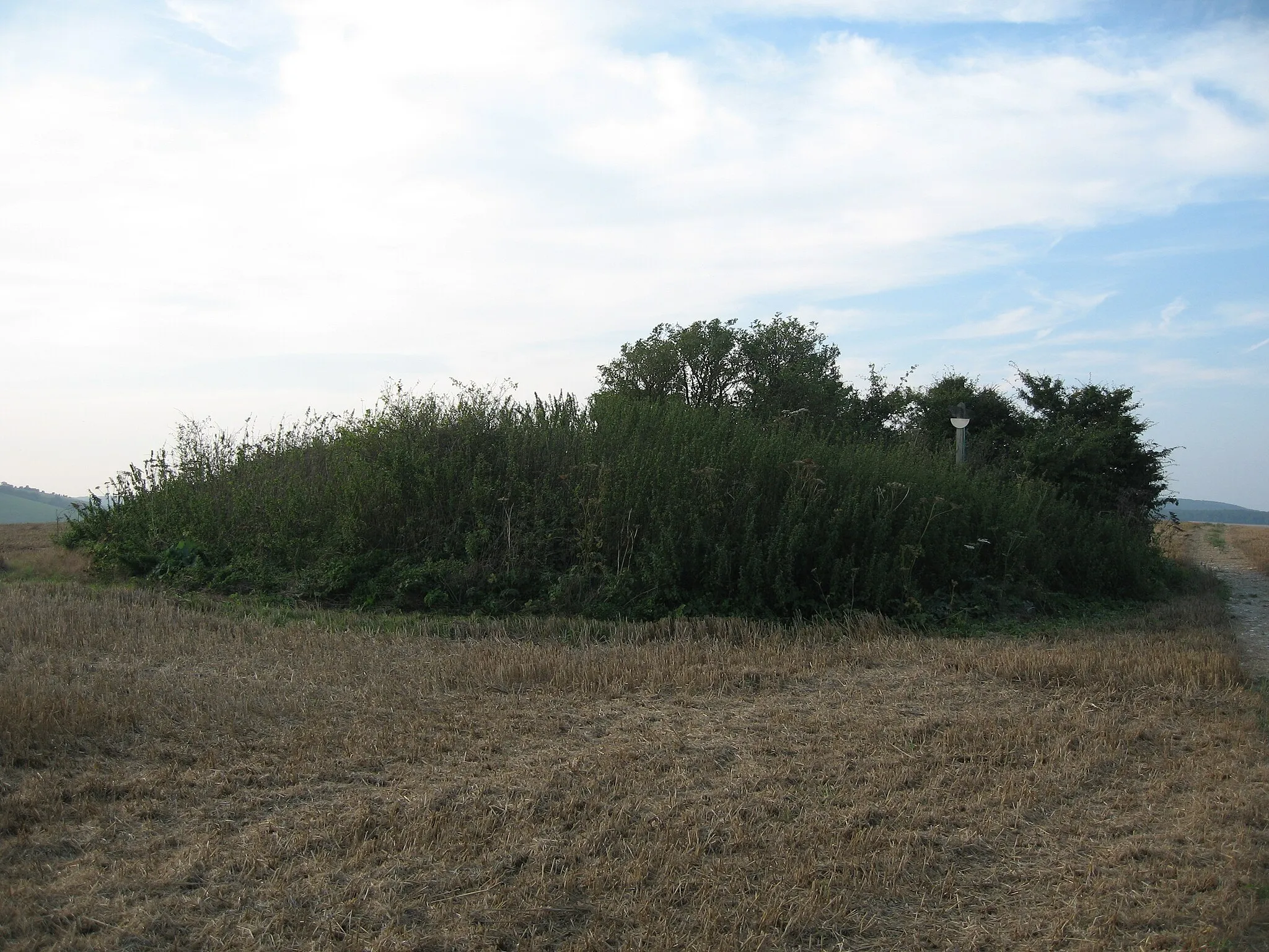 Photo showing: Tumulus on Chalton Down