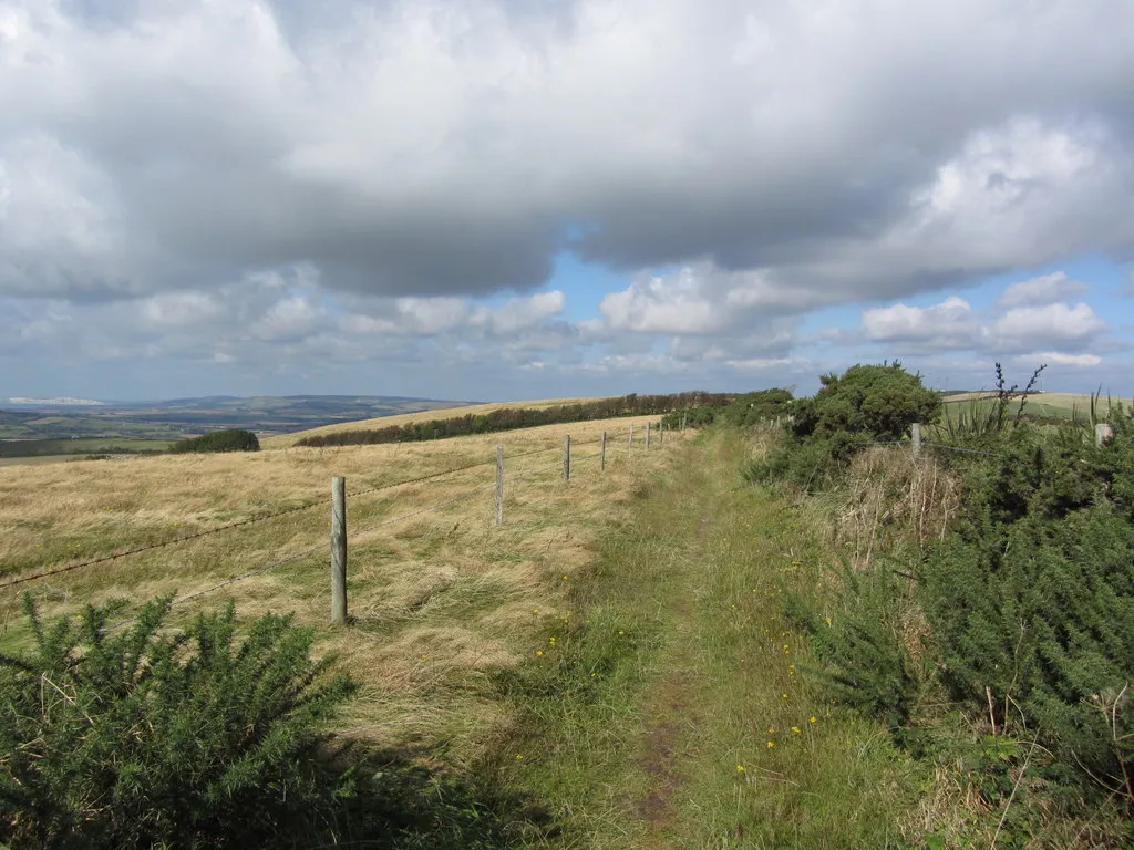 Photo showing: View north along Stenbury Trail on Week Down, IOW