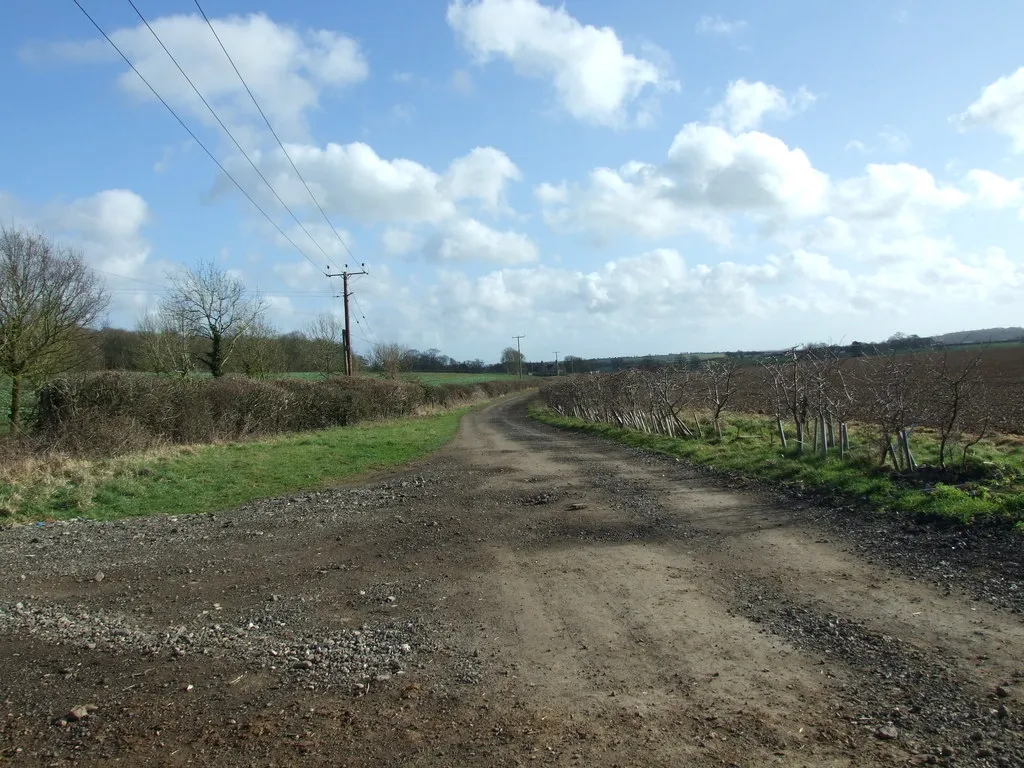 Photo showing: Track towards Dean Farm