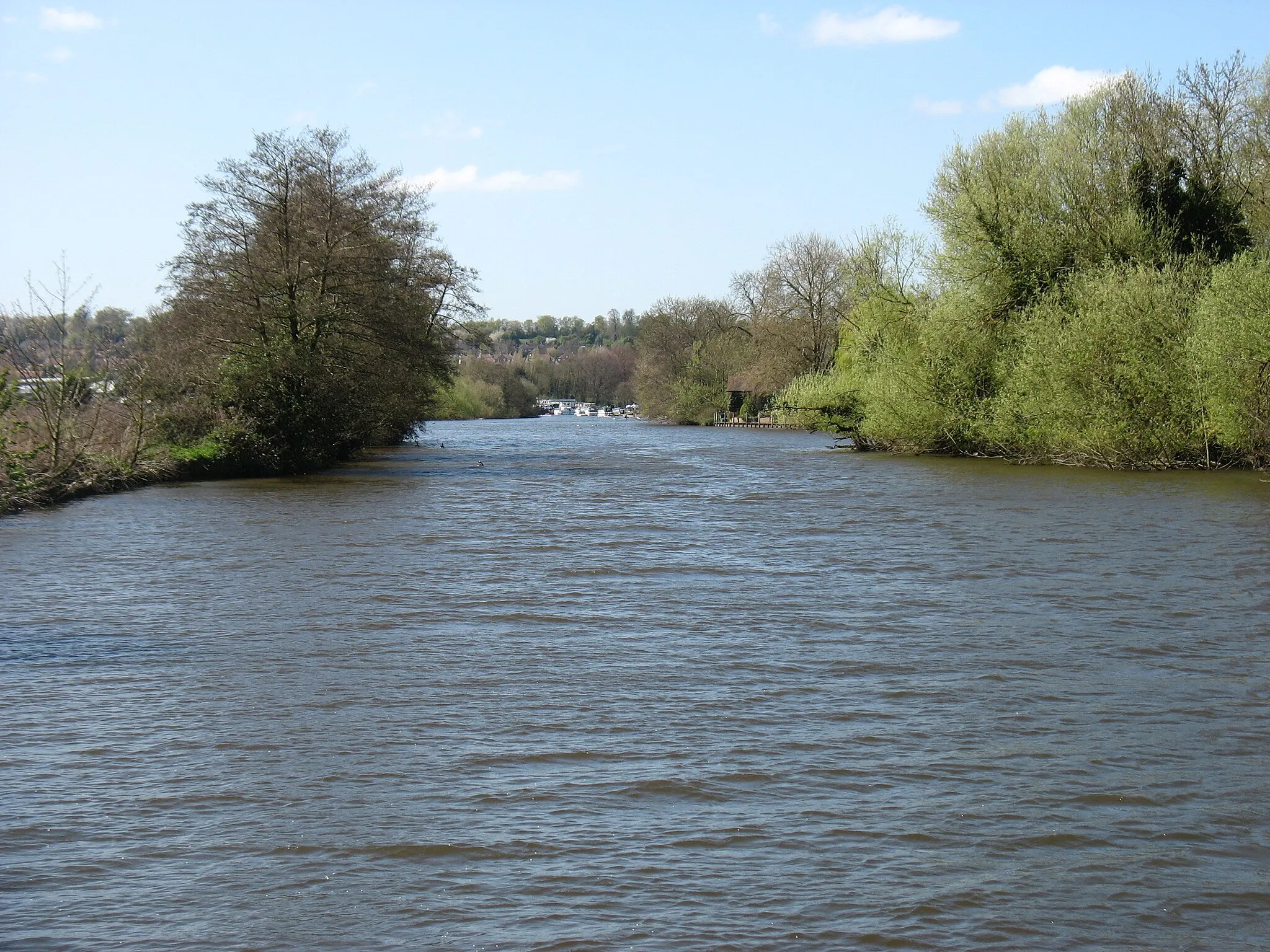 Photo showing: The River Thames below Tilehurst