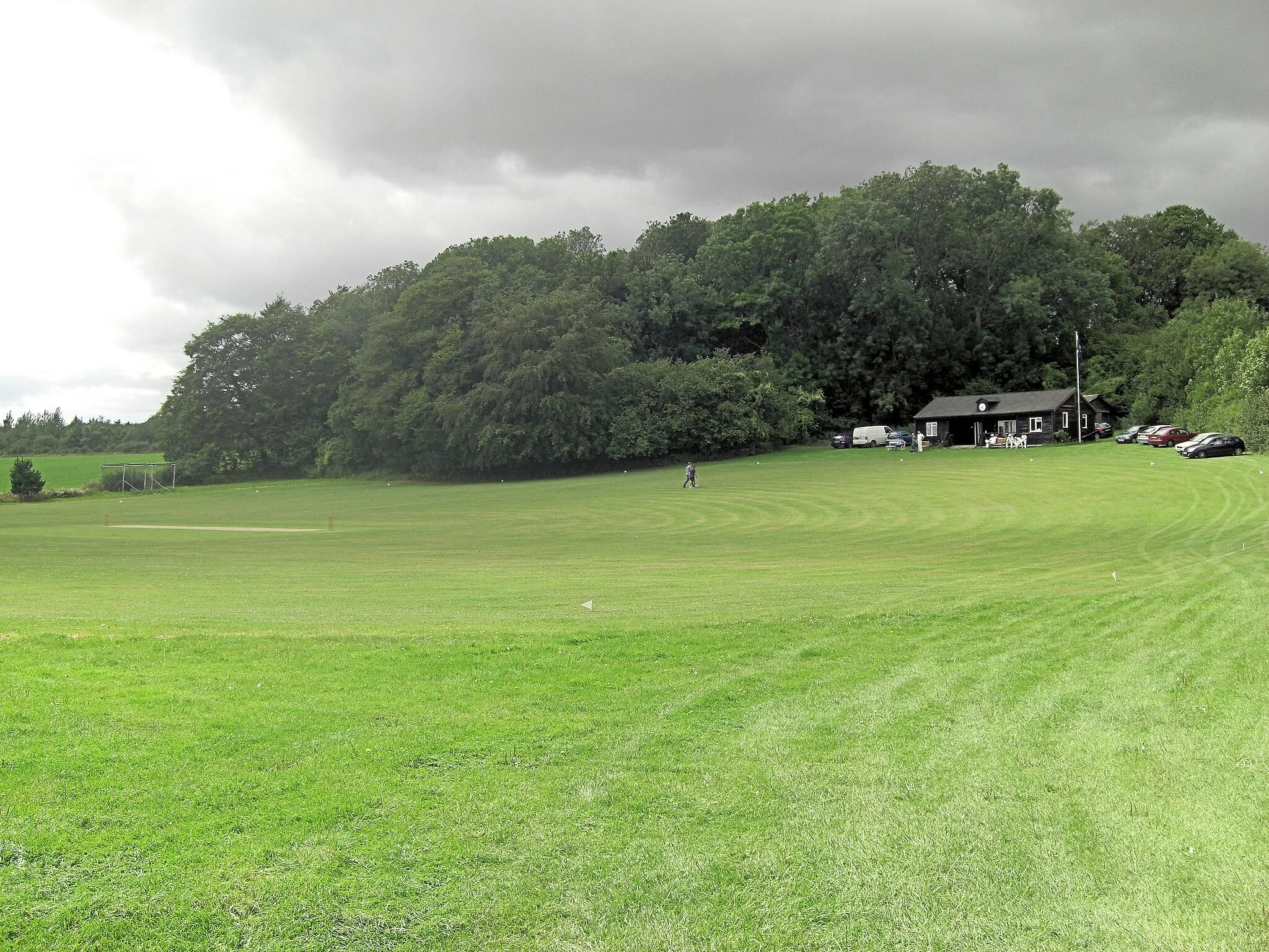 Photo showing: Lower Wield Cricket Pitch